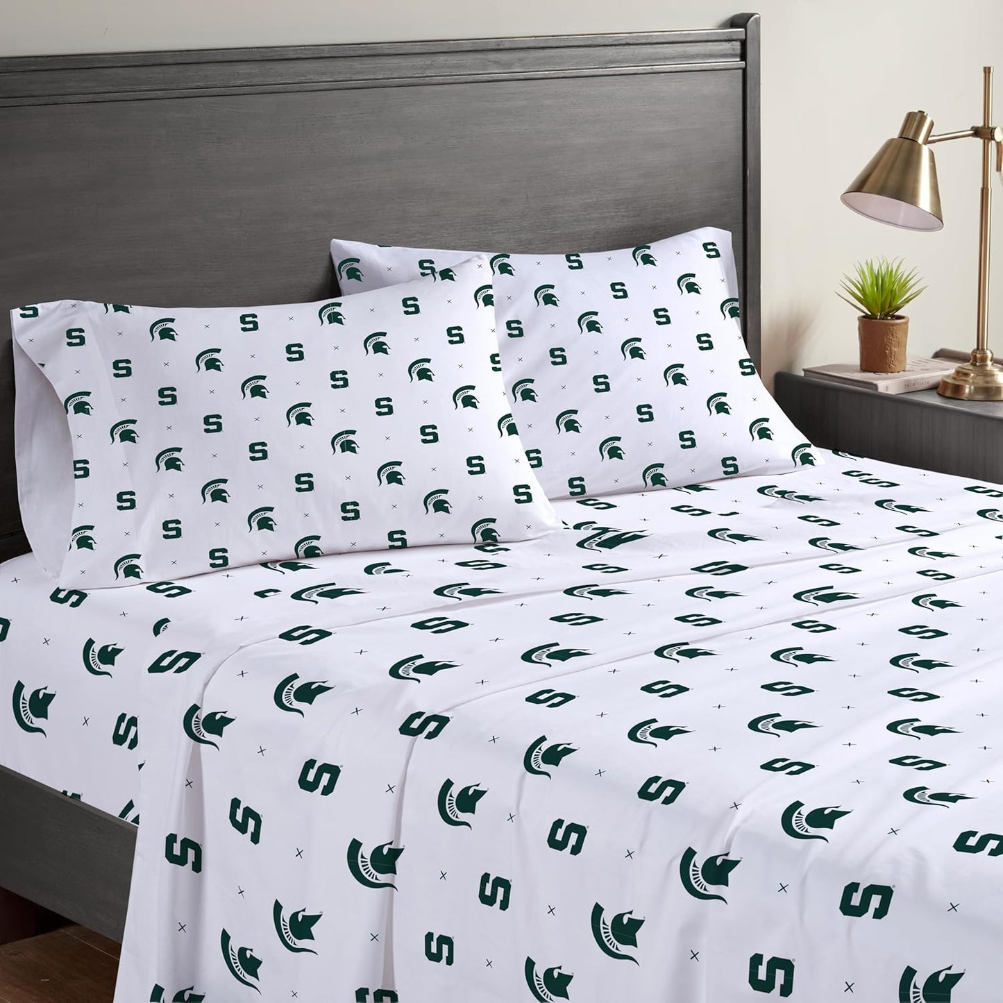 NCAA Circle Plushlete Pillow by Pegasus Sports for Comfort