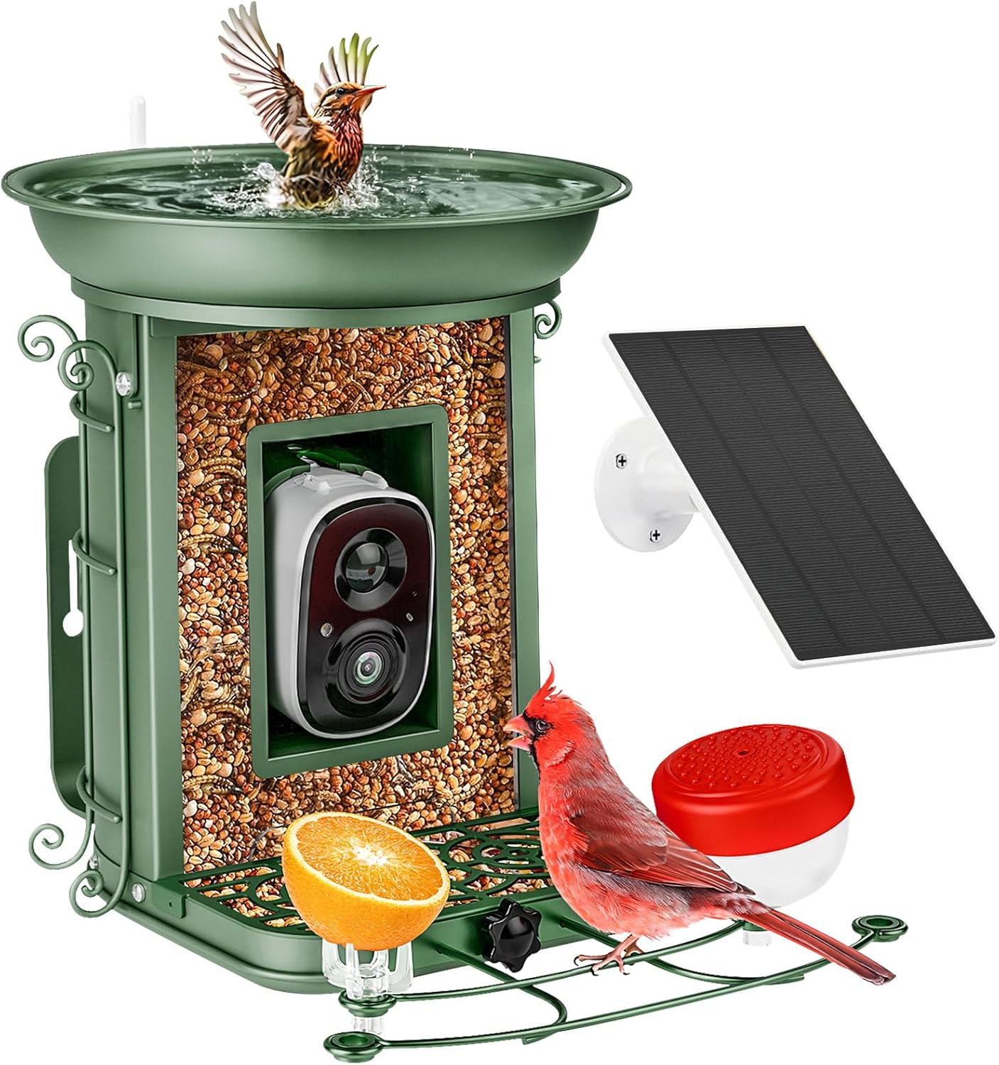 Bird-Watching Bliss: Smart Feeder with Camera