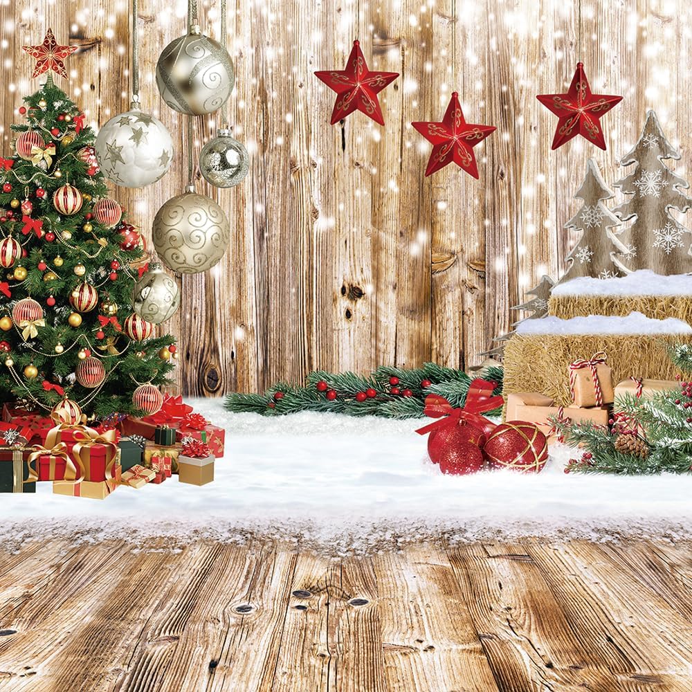 10x10FT Christmas Backdrop for Winter Snow and Family Parties ...