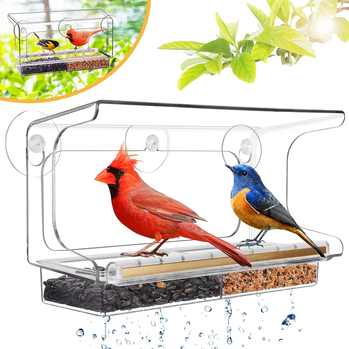 LUJII Shatterproof Window Bird Feeder - Crystal Clear View