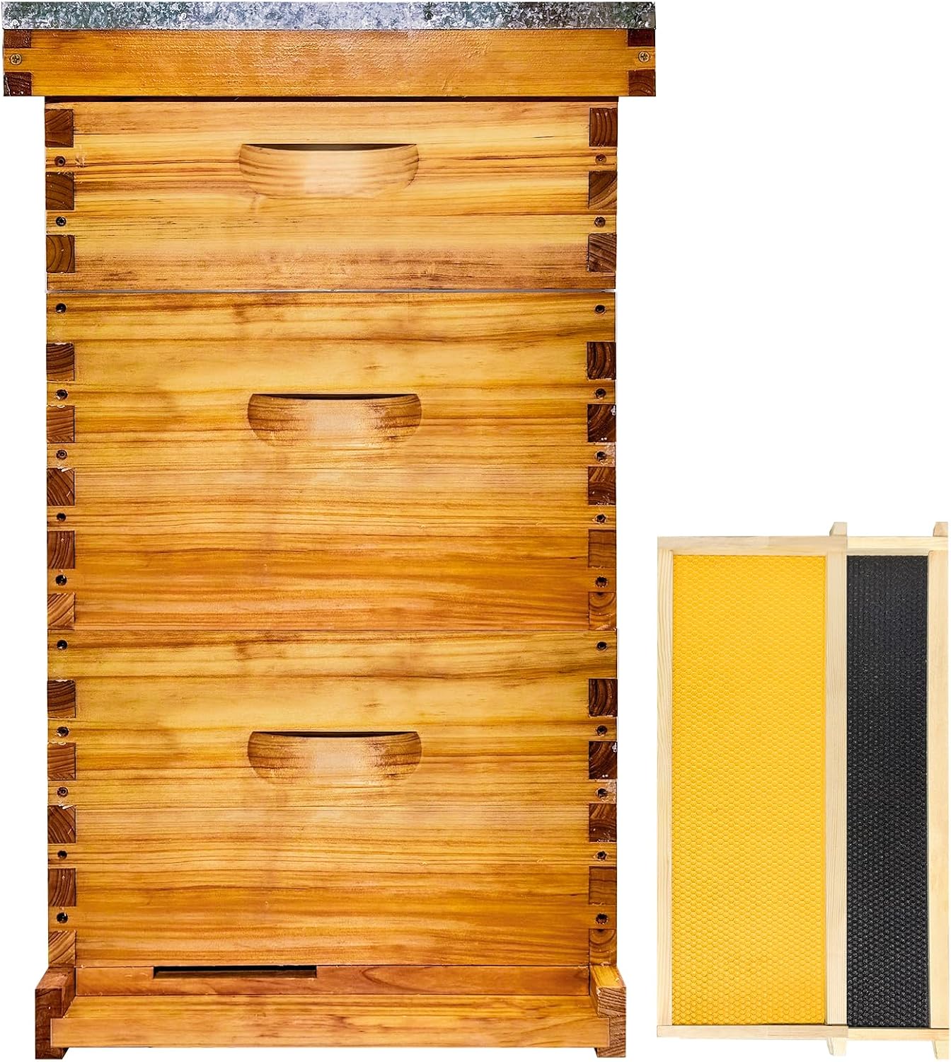 Gold Standard 10 Frame Bee Hive with Beeswax Coating and Frames