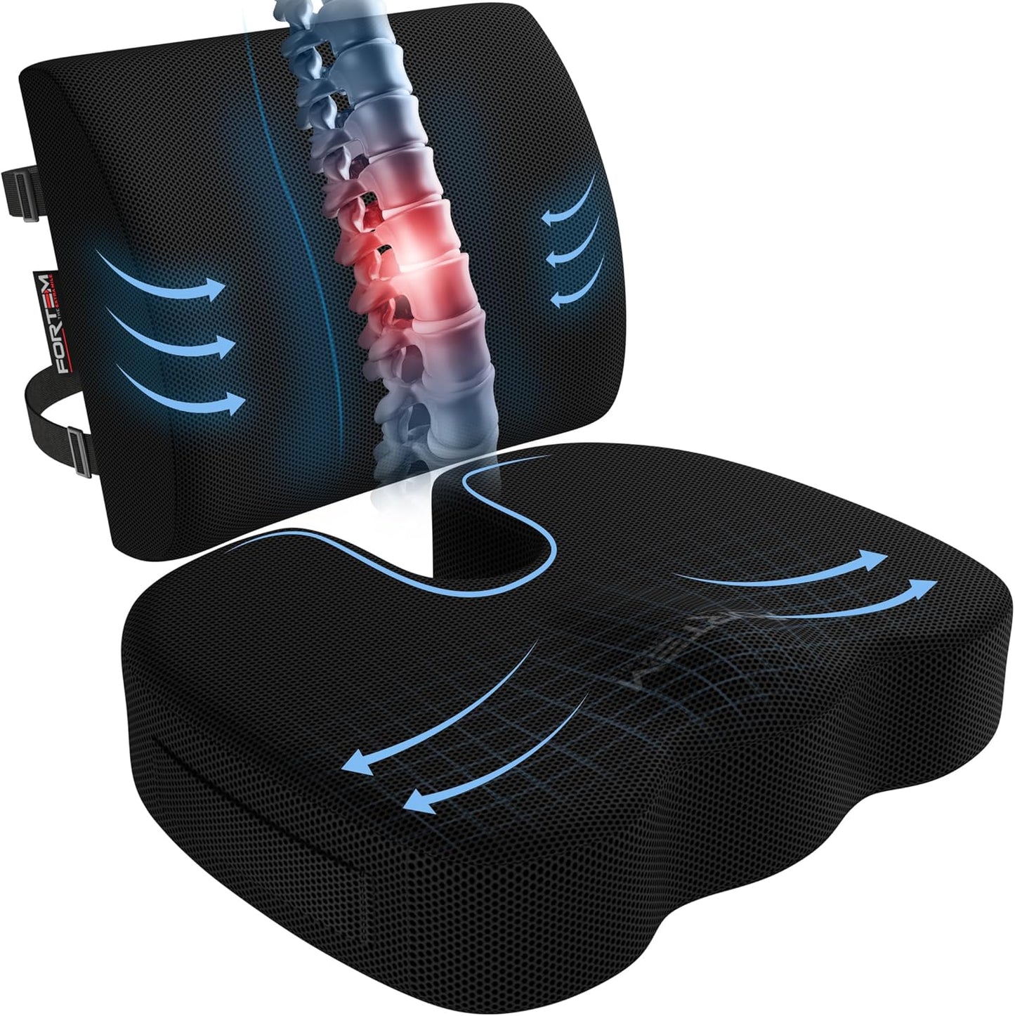 FORTEM Memory Foam Seat & Lumbar Support - XL
