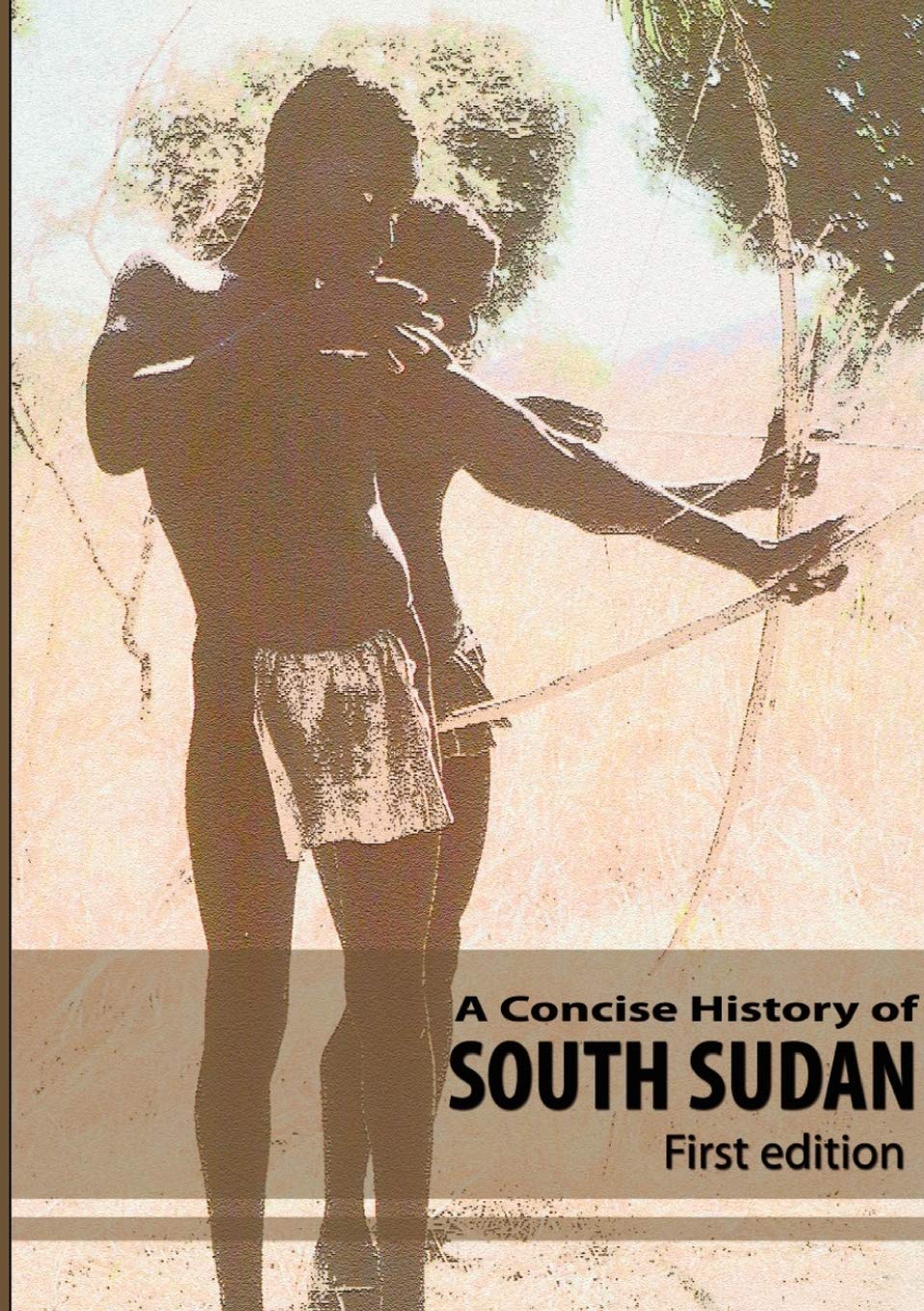 A Concise History of South Sudan: Insightful and Engaging Read