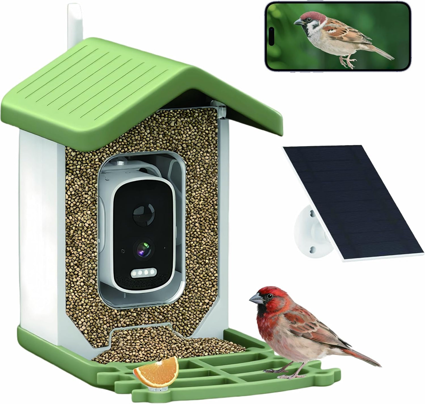 Billber Bird Feeder with Camera for Smart Bird Watching Fun