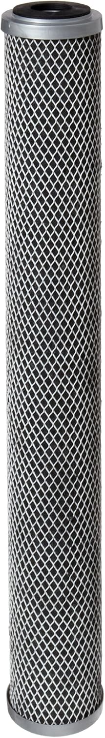 Pentair Pentek FloPlus-20 Carbon Water Filter for Clean Water