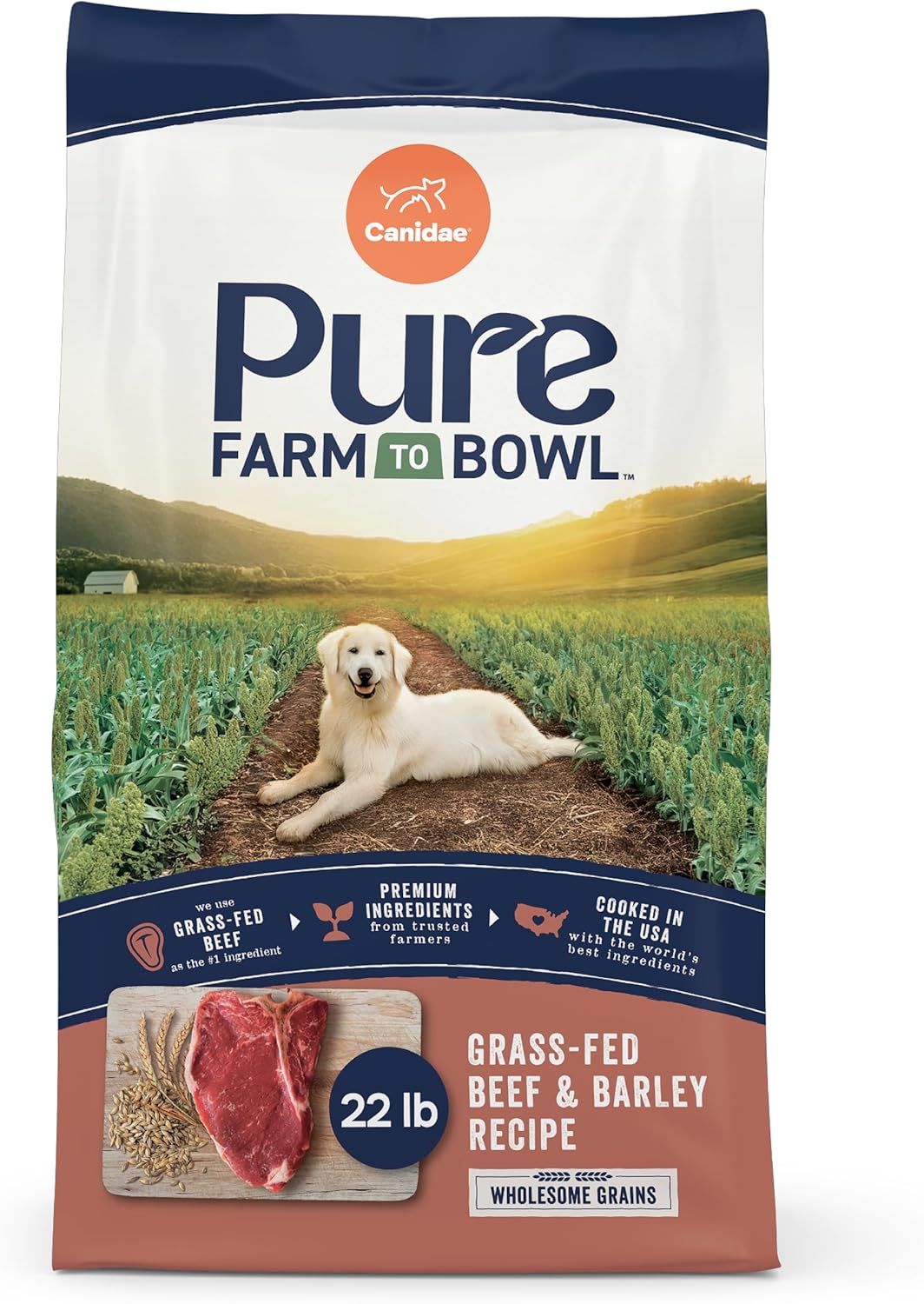 CANIDAE Pure Limited Ingredient Dry Dog Food with Real Beef