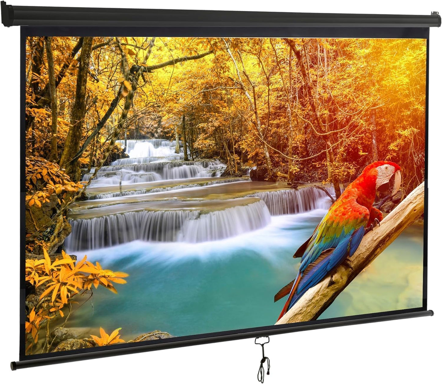100 Inch Portable Manual Pull Down Projector Screen for Home Use