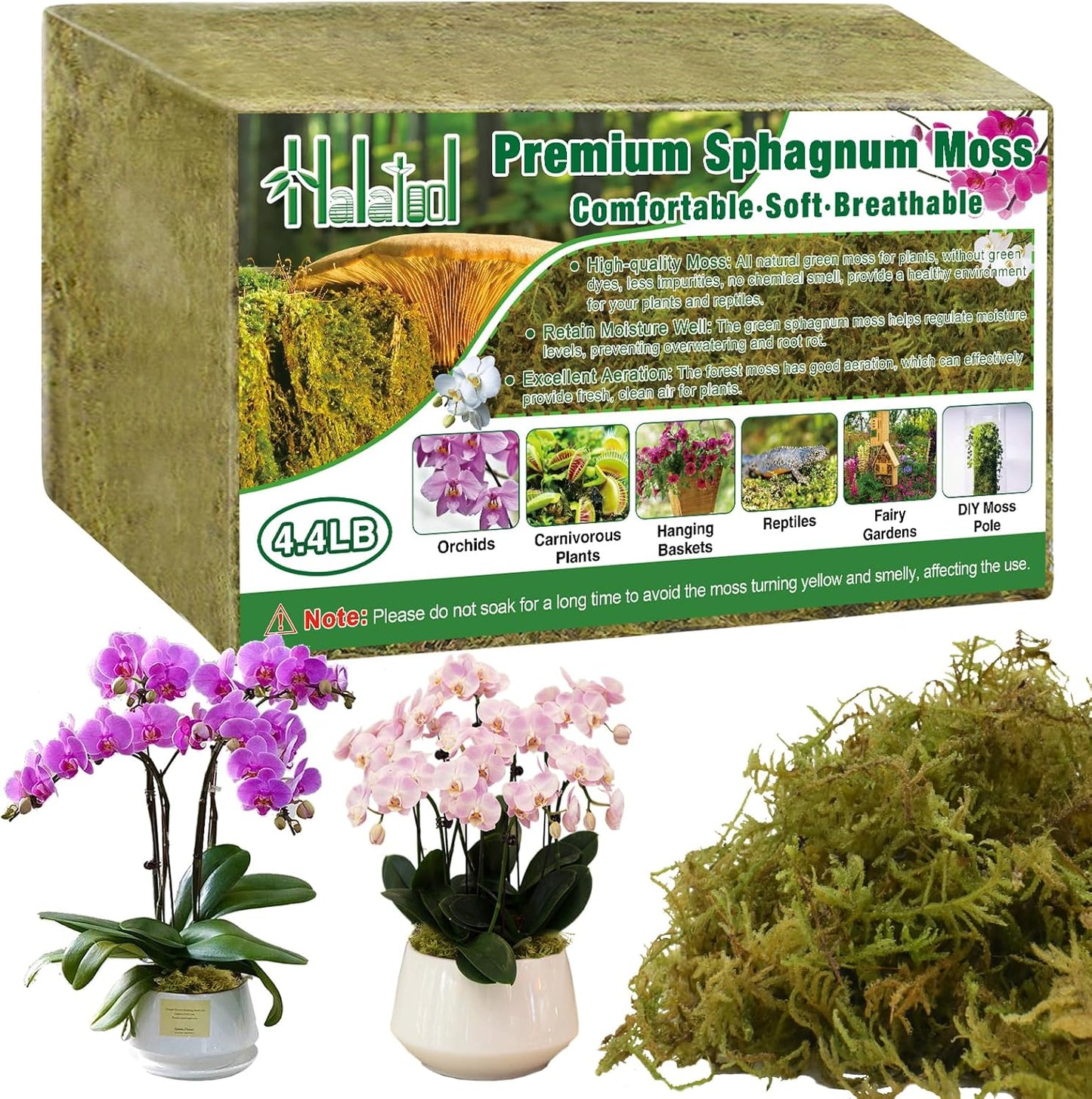 Natural Sphagnum Moss for Plants - Fluffy Orchid Moss 4.4LB