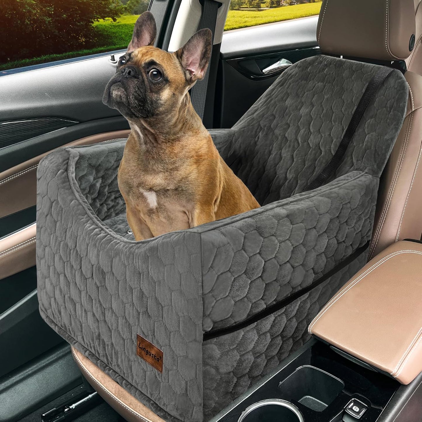 Memory Foam Dog Car Seat for Small Dogs, Travel Safety & Comfort!