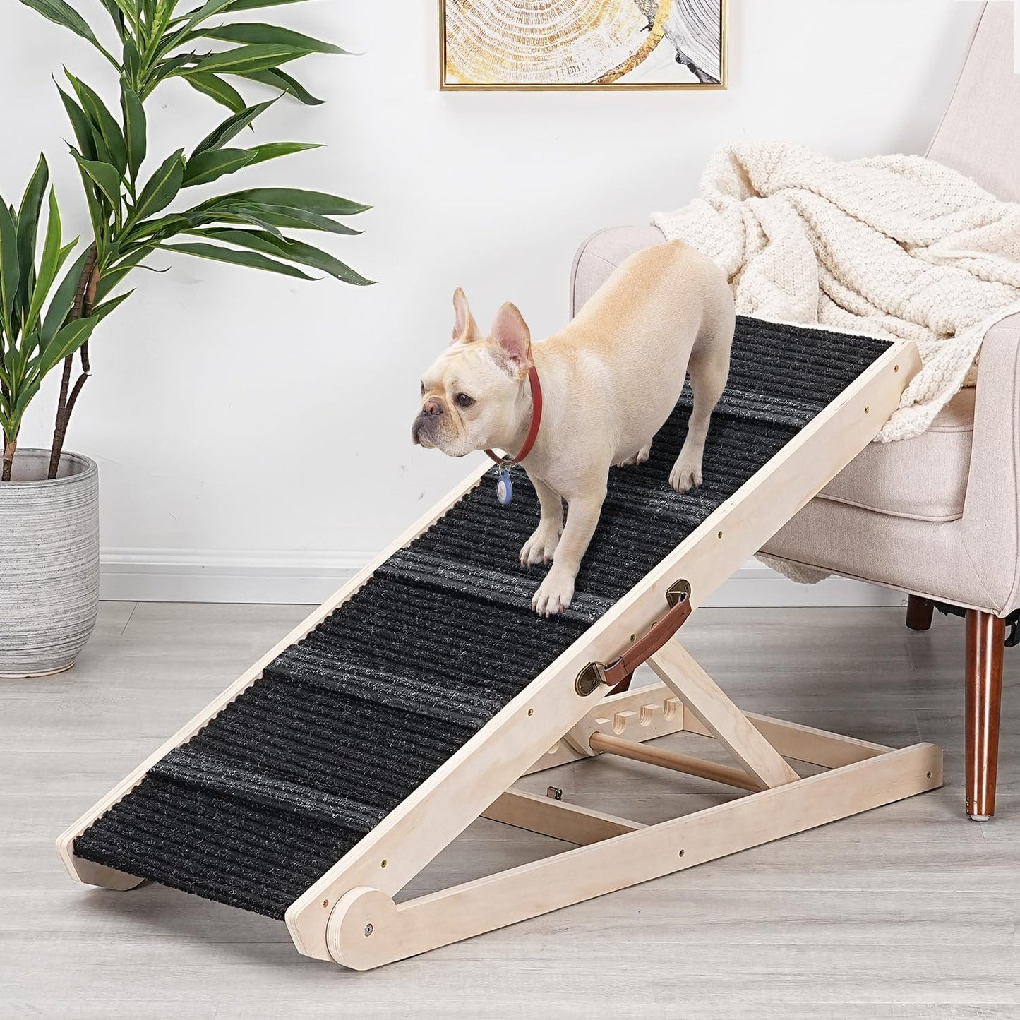 Dog Ramp for Bed and Couch - Adjustable Height for Pets