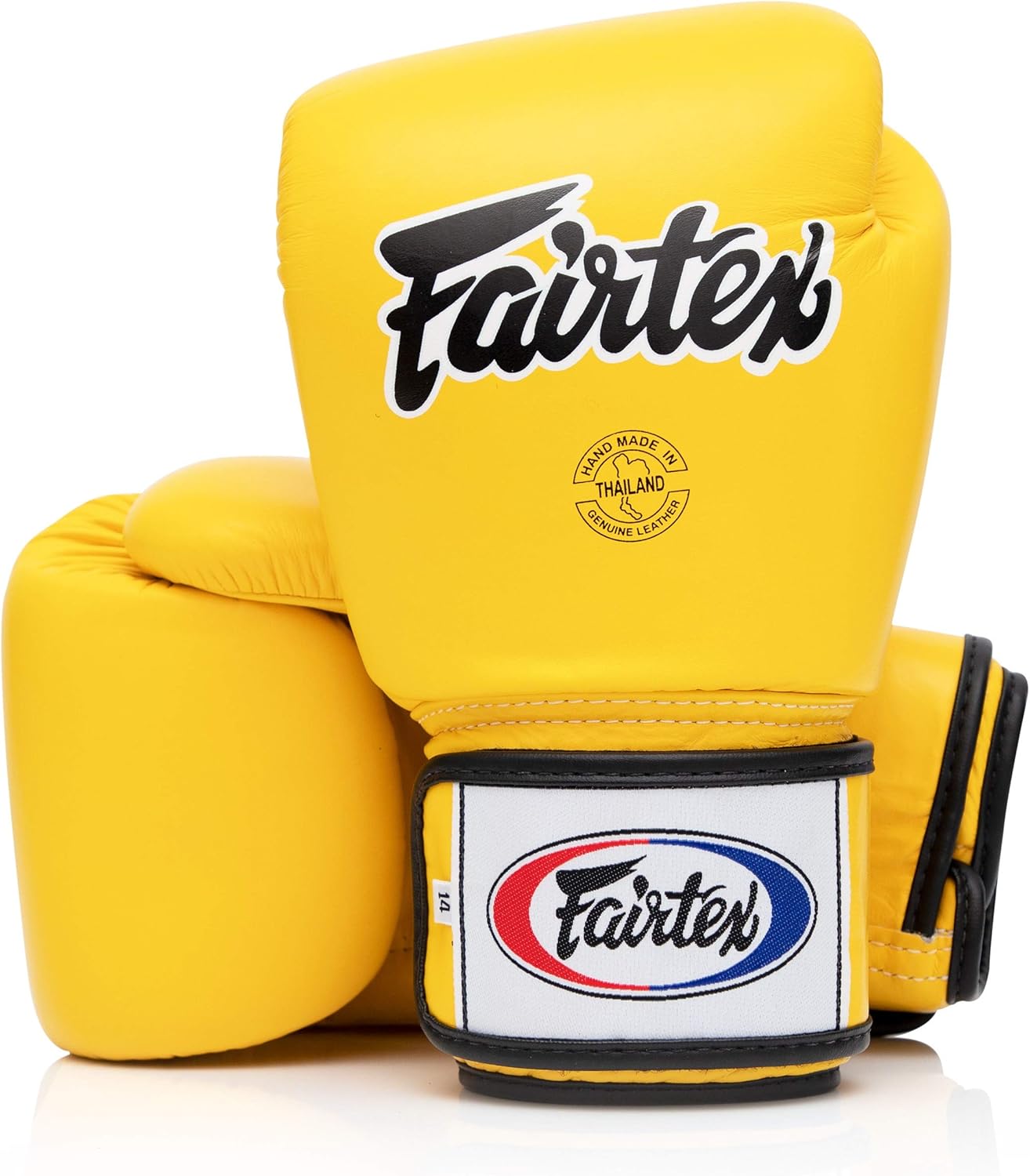 Fairtex BGV1 Muay Thai Boxing Gloves for Training and Sparring