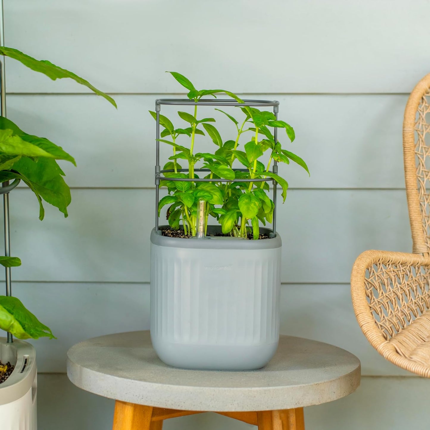 Vego Garden Mini Planter Indoor Pots with Trellis System