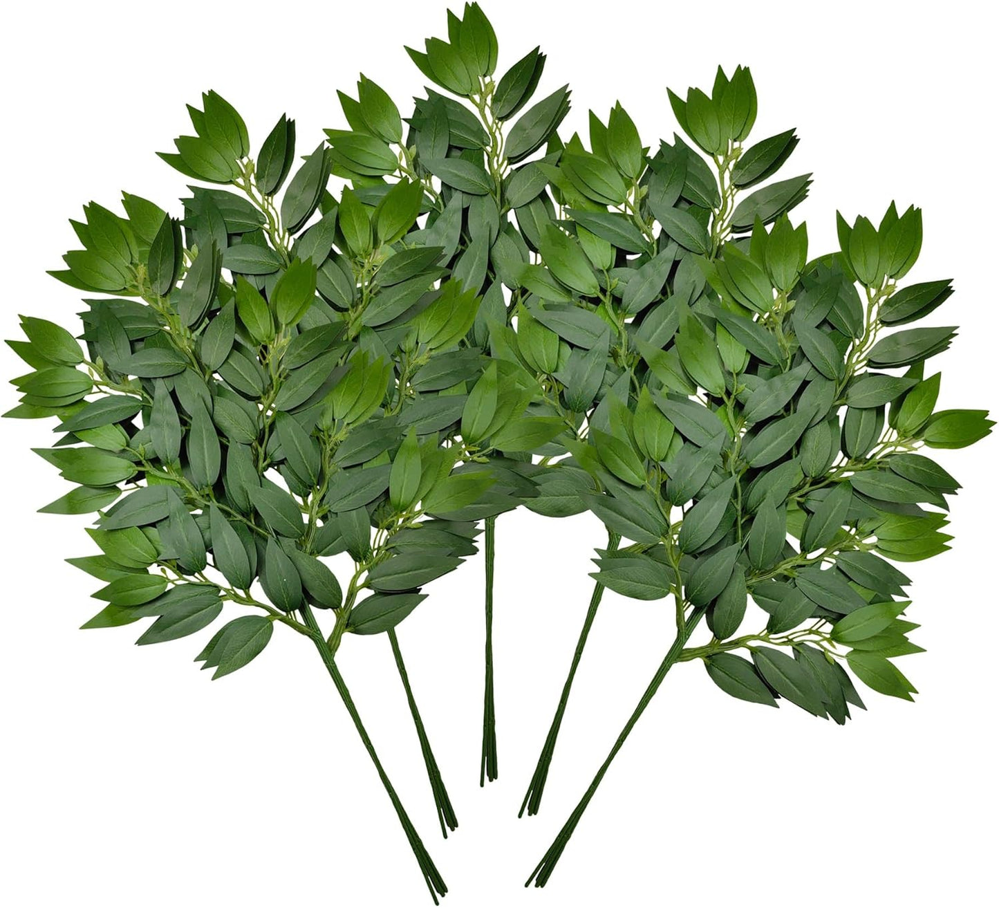 36Pcs Italian Ruscus Greenery Stems for DIY Wedding Decor