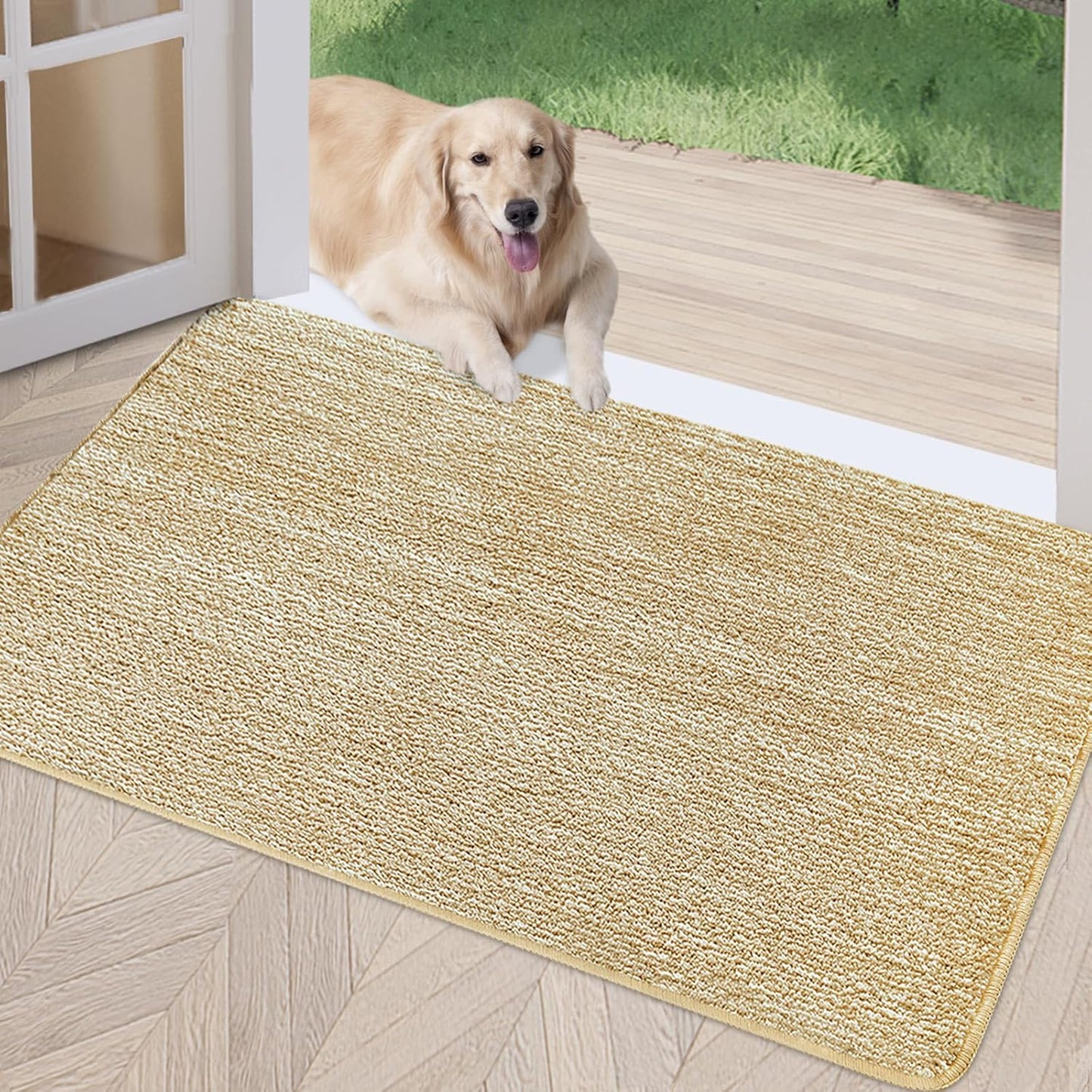 REFETONE Indoor Doormat 32x48 Absorbent Non-Slip Rug for Entryway