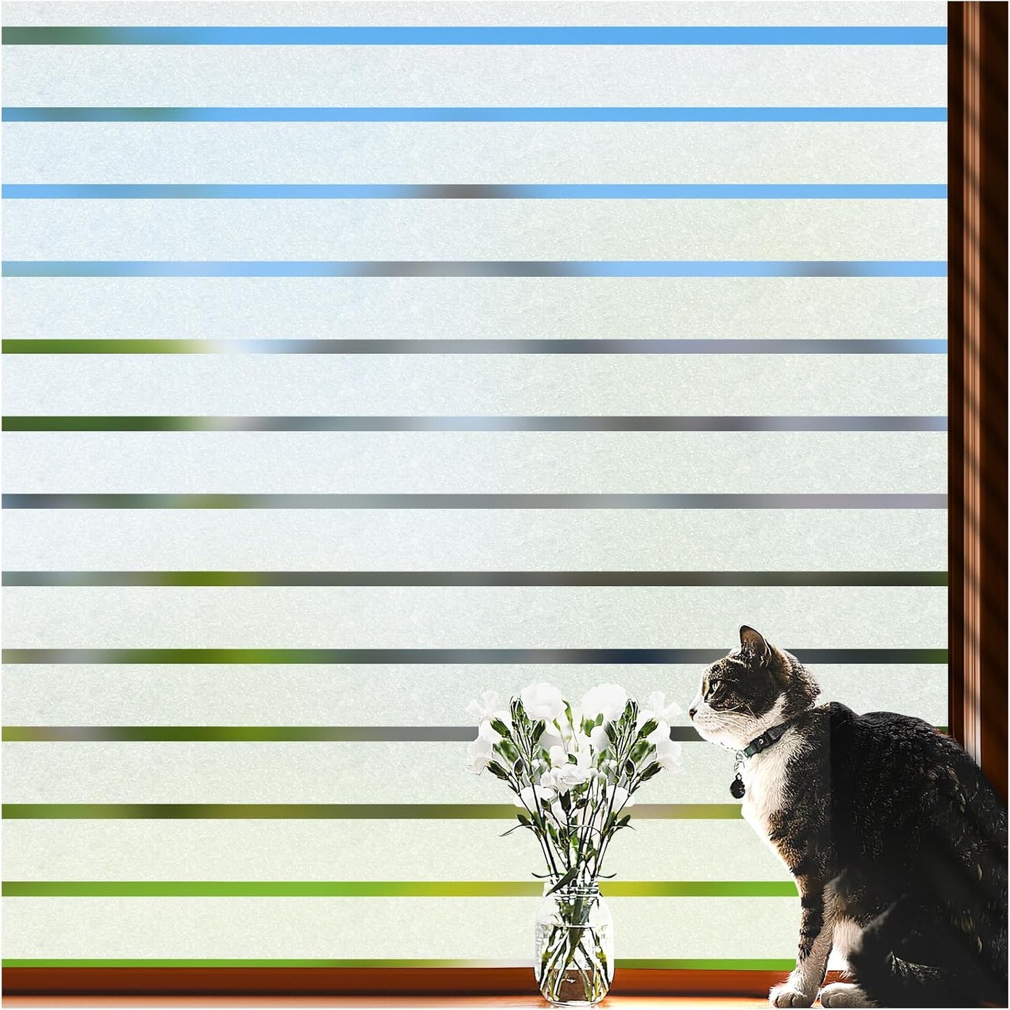 Viseeko Window Privacy Film for Home Office and Bathroom Use
