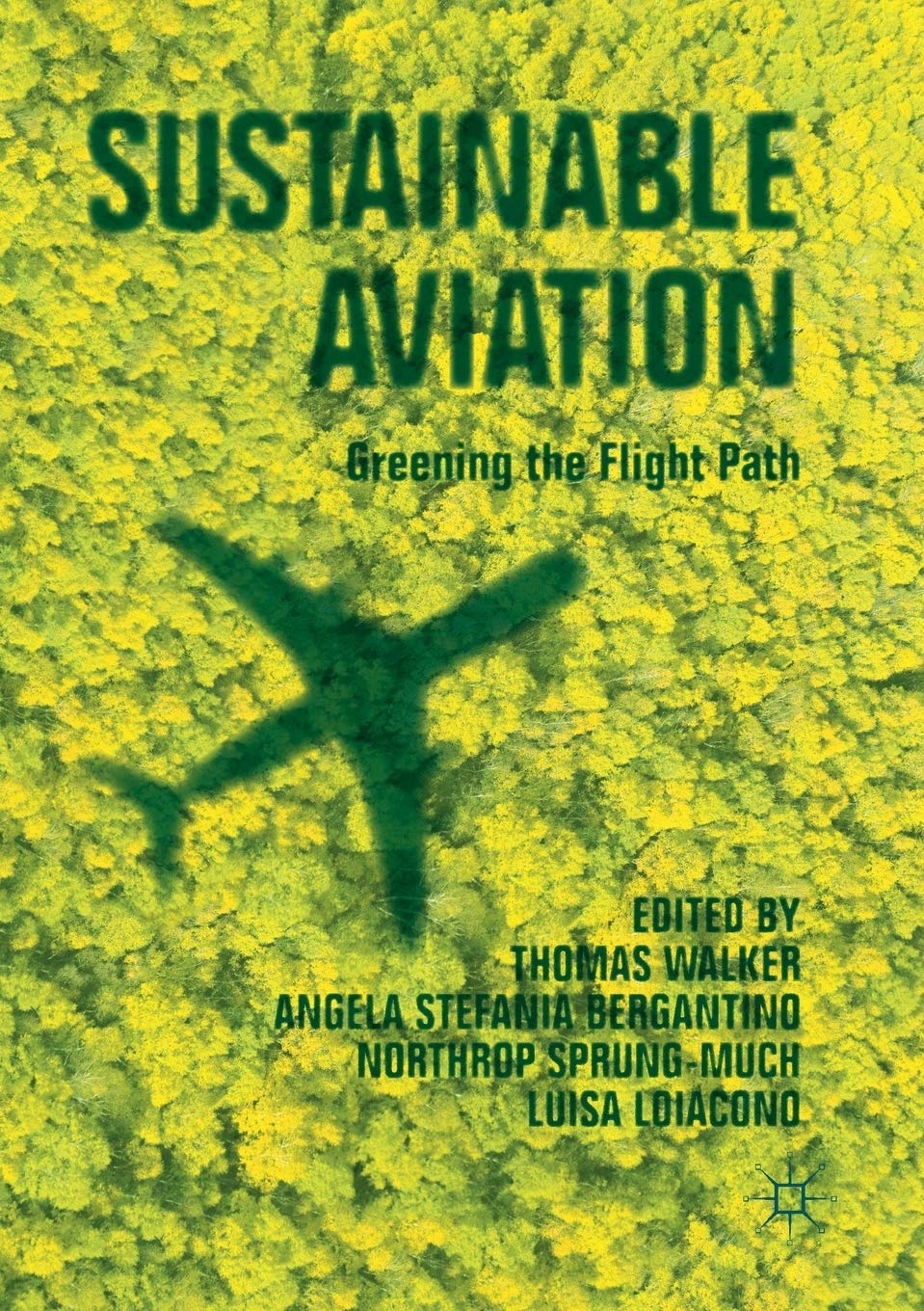 Sustainable Aviation: Greening the Flight Path for Future Travel