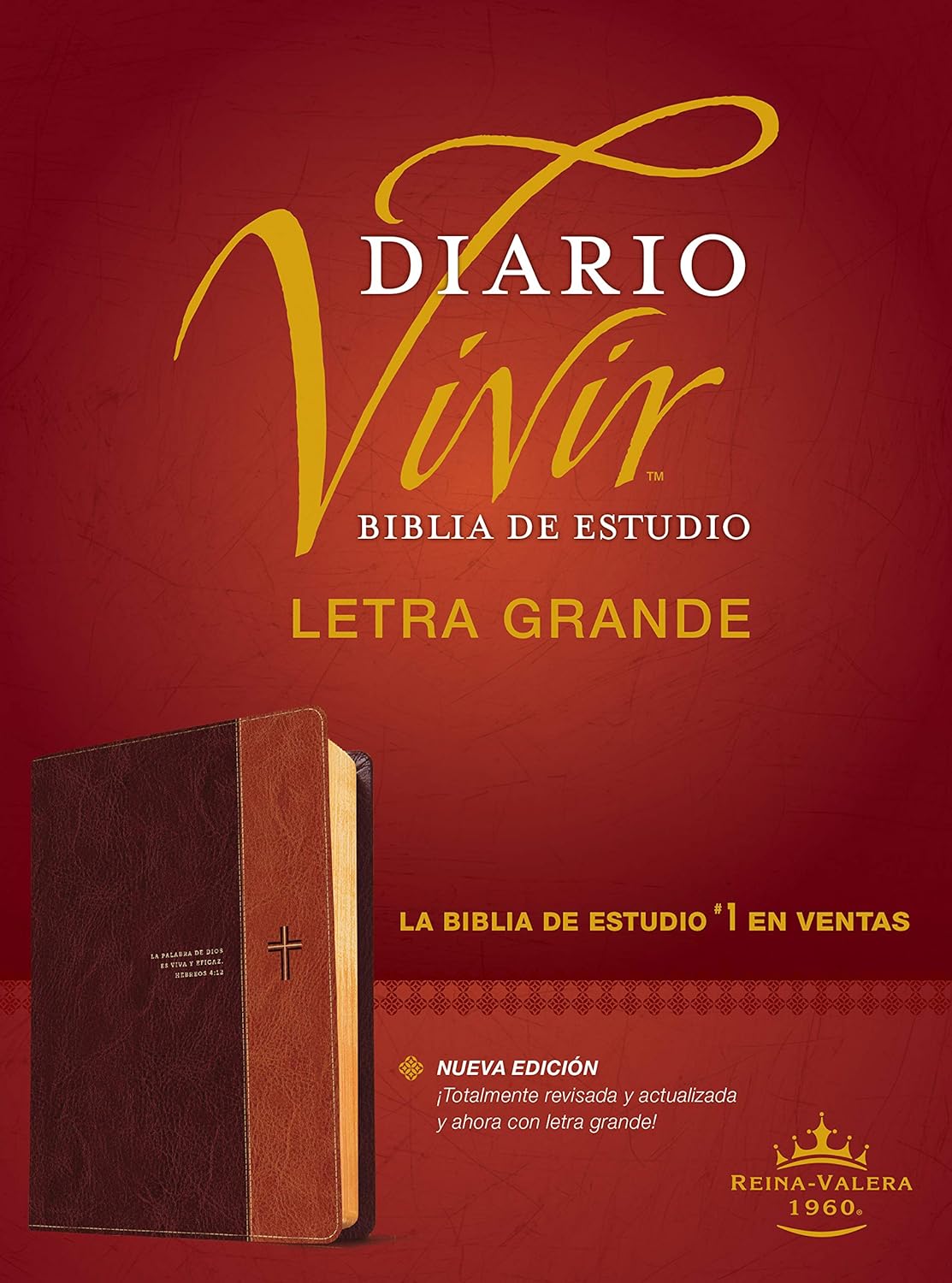 Biblia de estudio del diario vivir RVR60 con letra grande