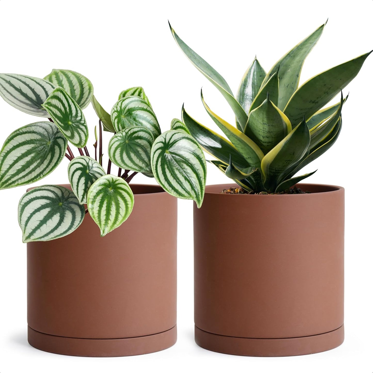 D'vine Dev 6 Inch Rust Terracotta Plant Pot Set of 2 for Indoor Use