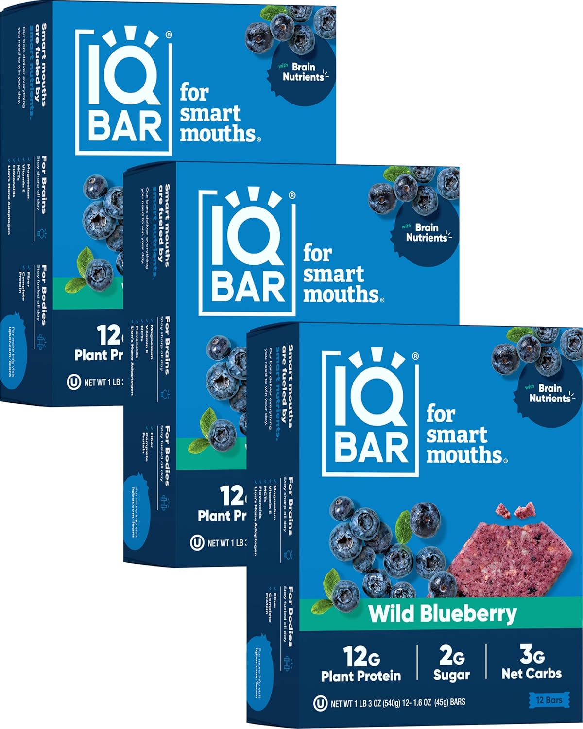 IQBAR Brain and Body Plant Protein Bars - Wild Blueberry Flavor