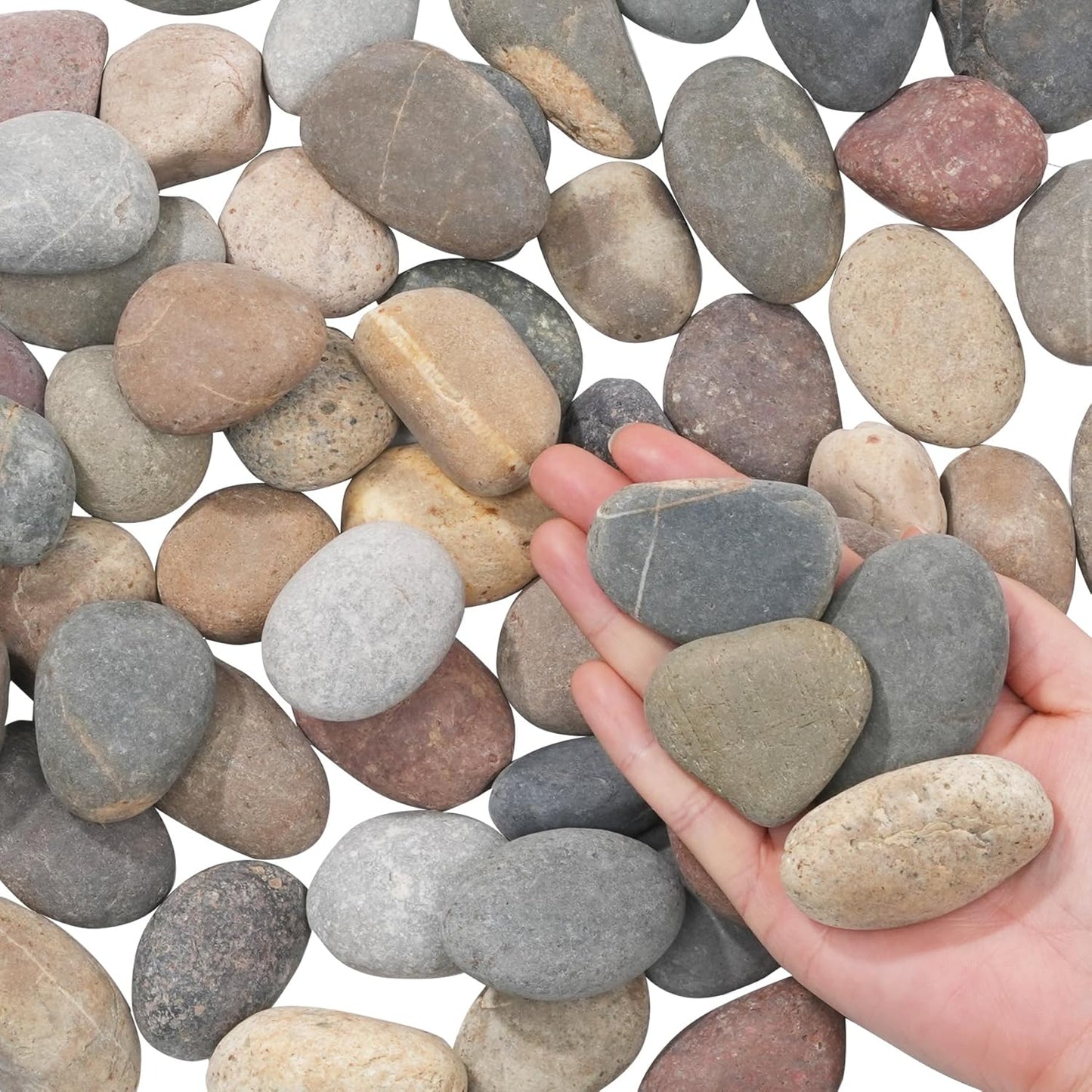 Natural River Rocks for Landscaping and Crafting Projects