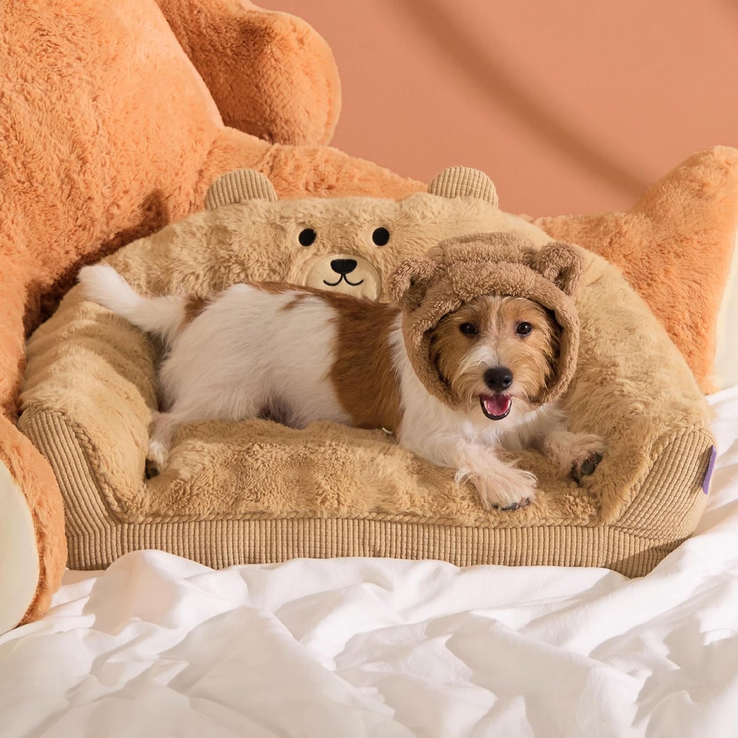 Cute Cat Couch for Pets - Fluffy Bear Design Dog Bed