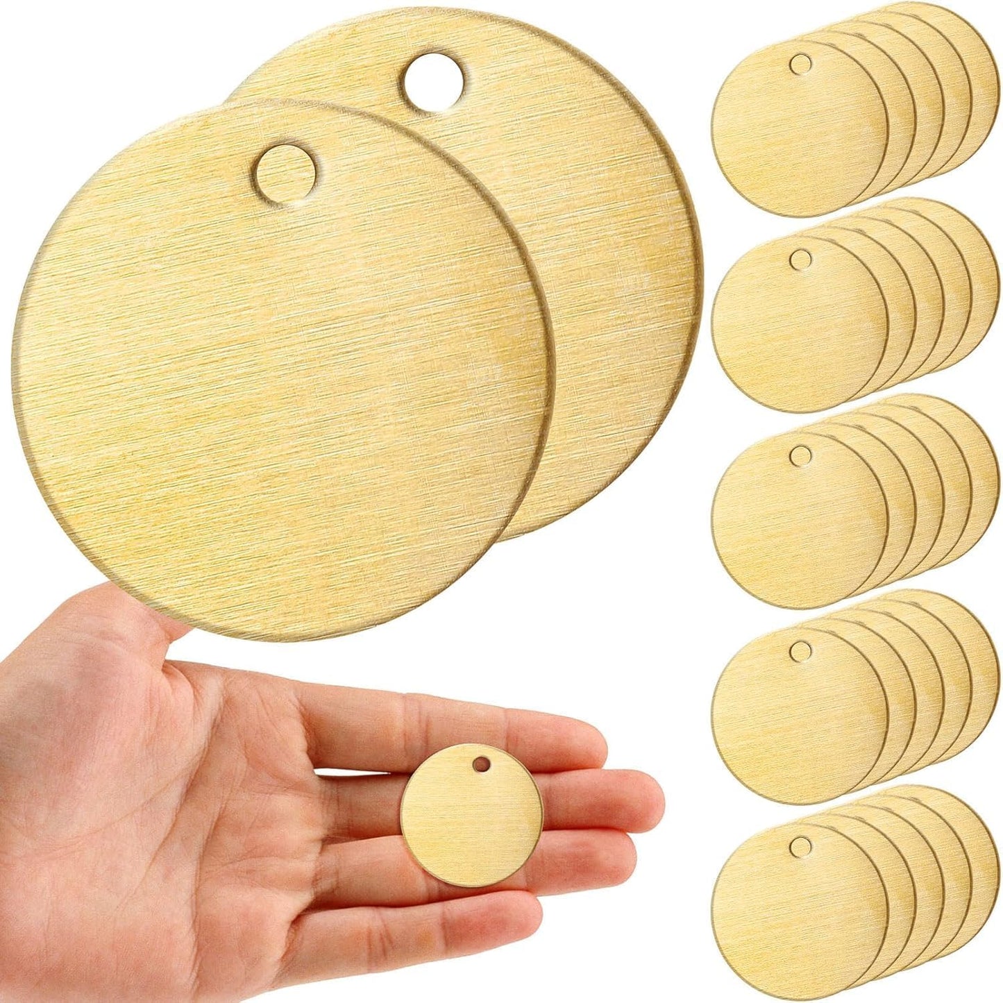 220 Pcs Round Brass Tags for Pets, Plants, and More Uses