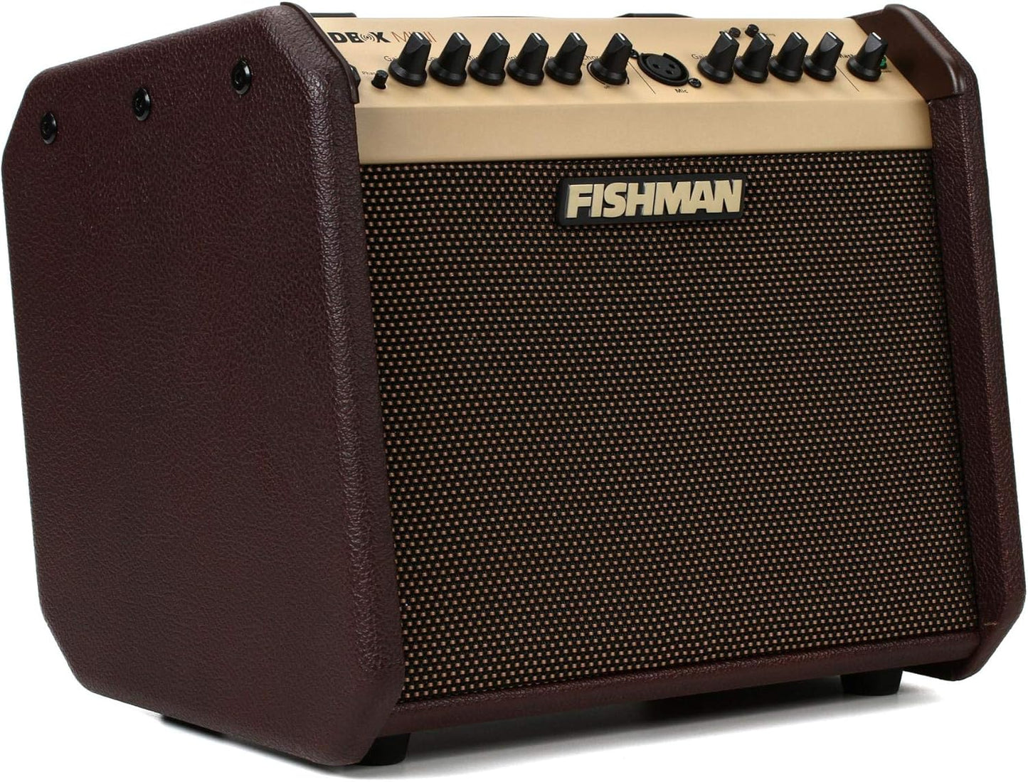 Fishman Loudbox Mini BT - Powerful 60W Acoustic Combo