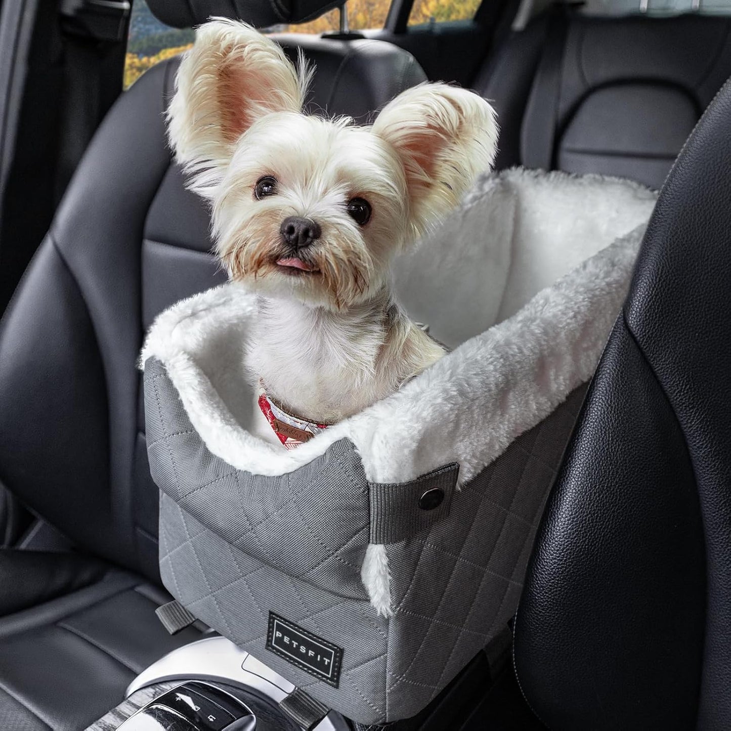 PETSFIT Center Console Dog Car Seat for Small Dogs Up to 9 Lbs