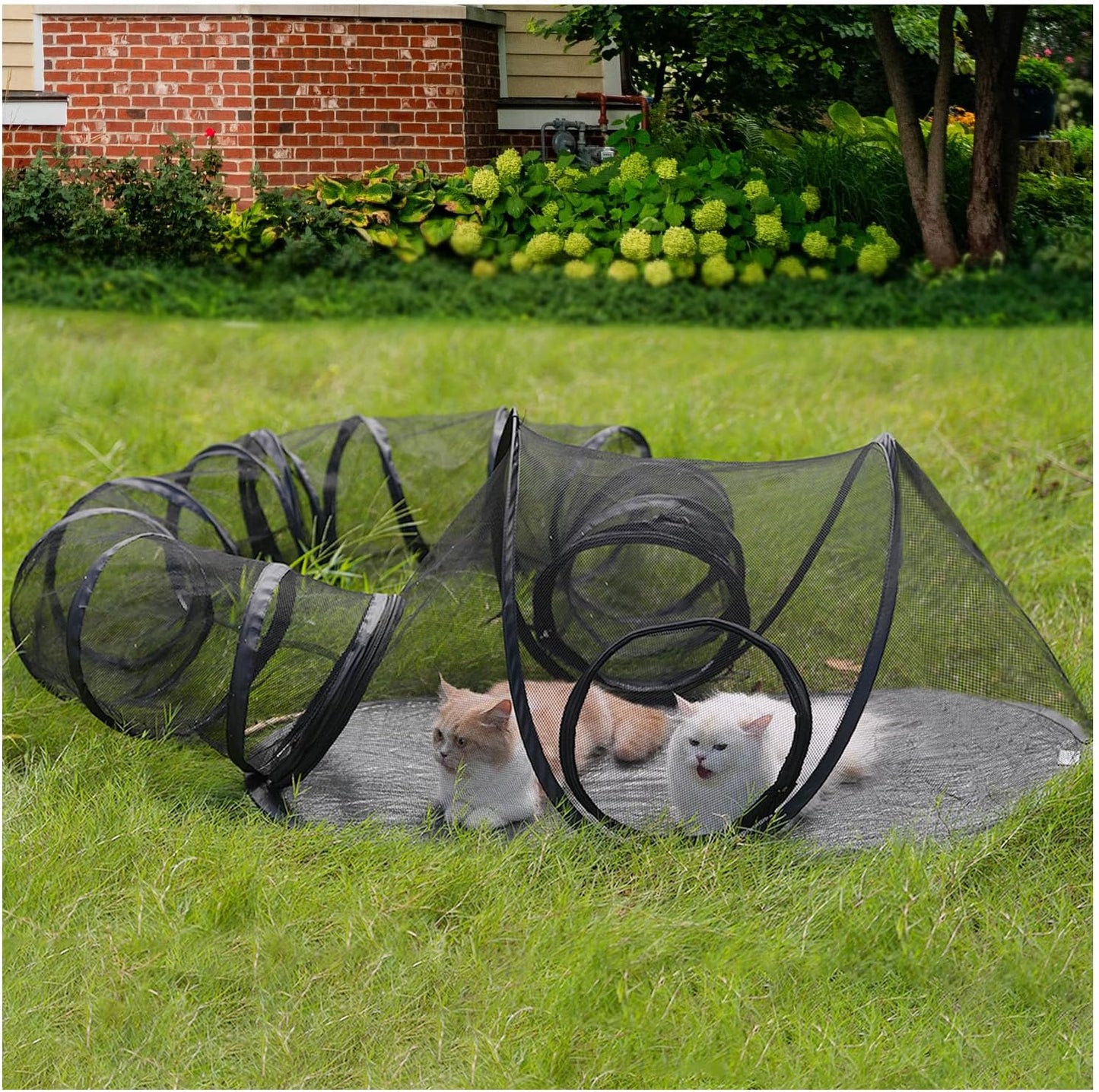 Rest-Eazzzy Outdoor Cat Enclosures for Safe Outdoor Fun
