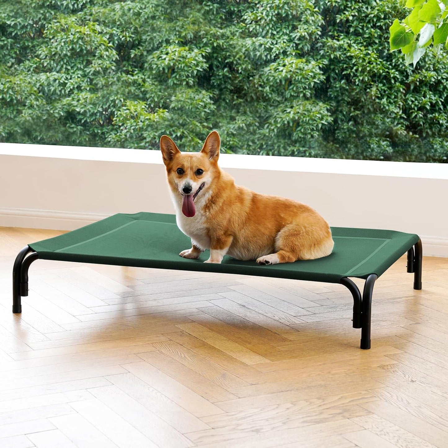 Elevated Dog Bed for Medium Dogs - Cooling Raised Cot Design