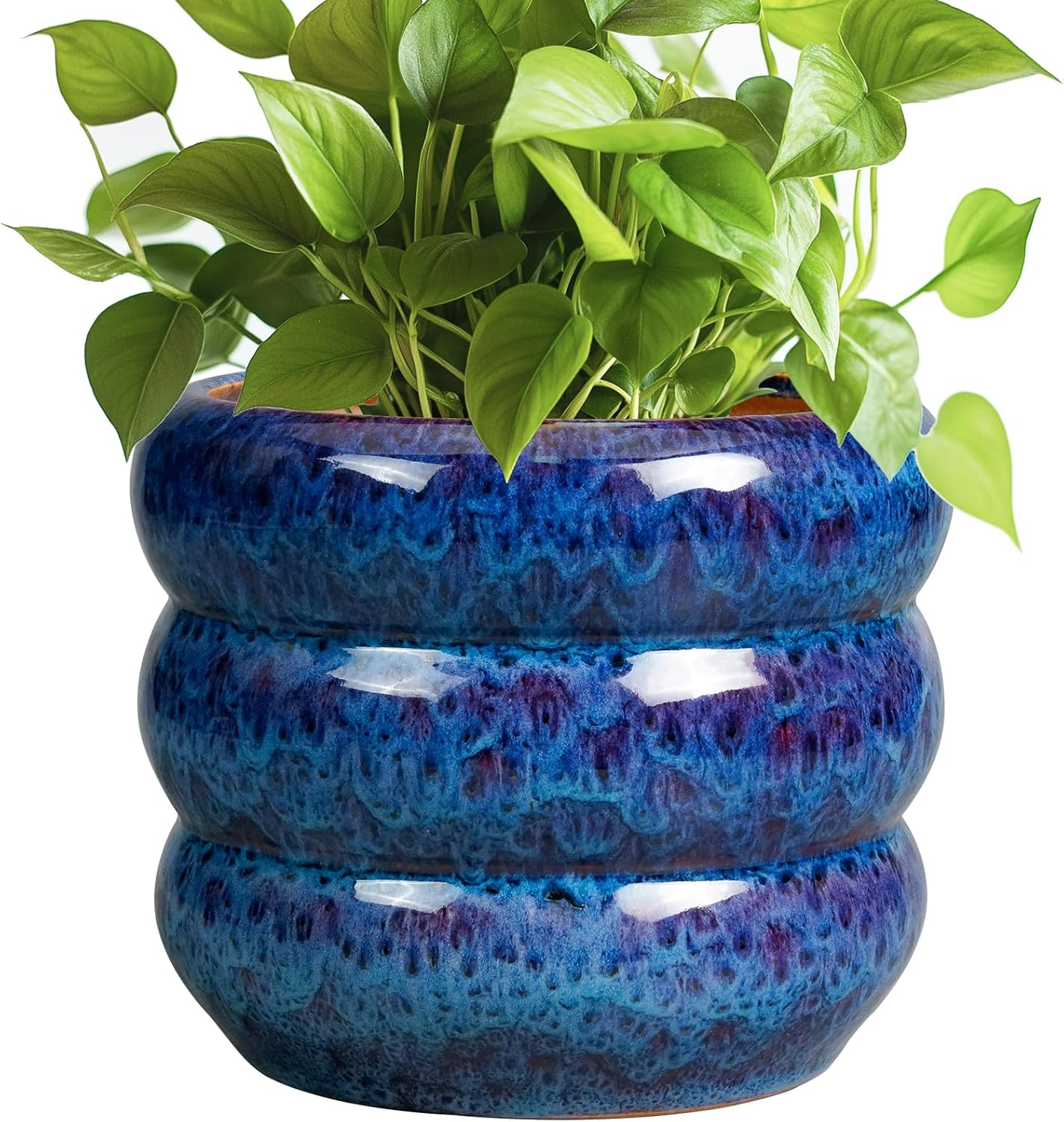 SQOWL Ceramic Planter Pot - 8 Inch Indoor and Outdoor Use