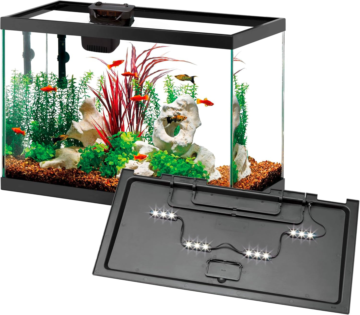 Aqueon 20 Gallon Aquarium Starter Kit with SmartClean Filter