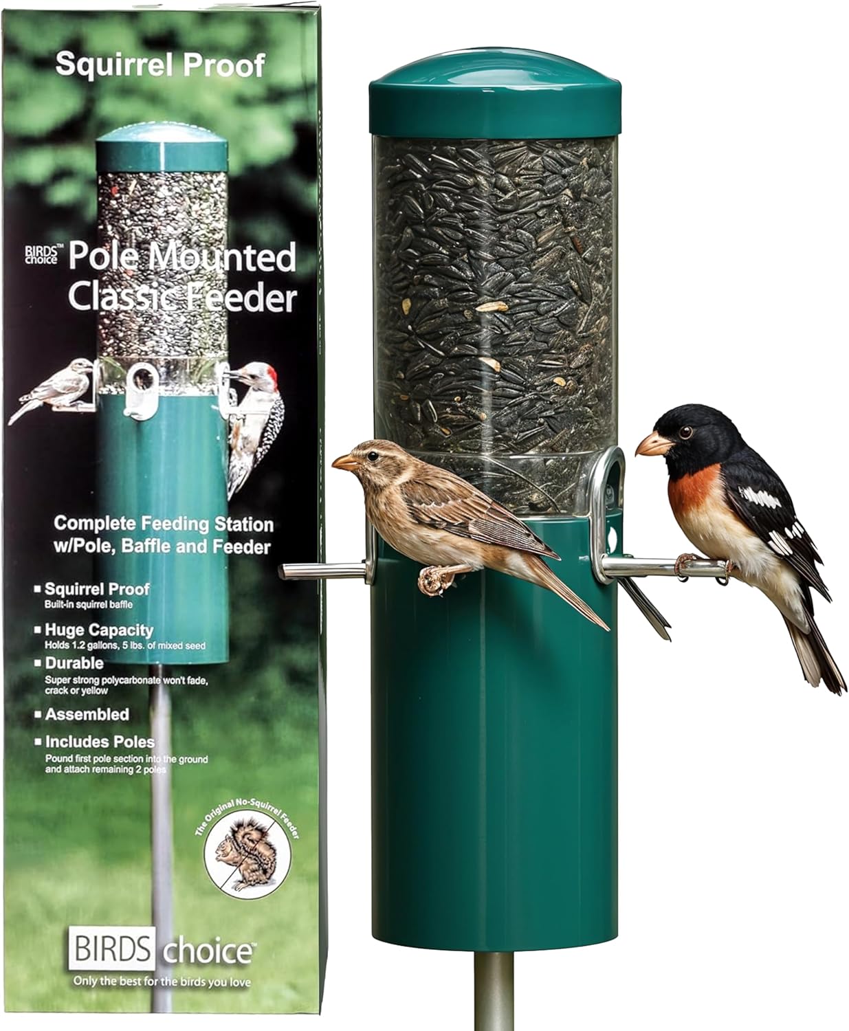 Squirrel Proof Bird Feeder for Cardinals and Woodpeckers