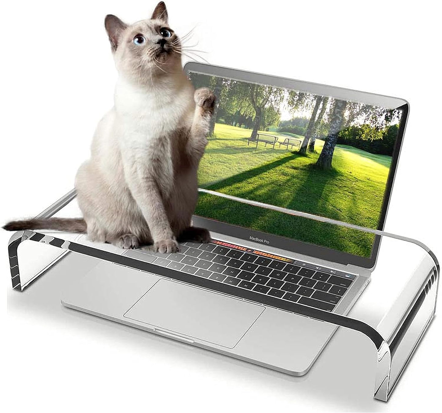 Clear Acrylic Monitor Stand and Keyboard Cover for Cat Owners