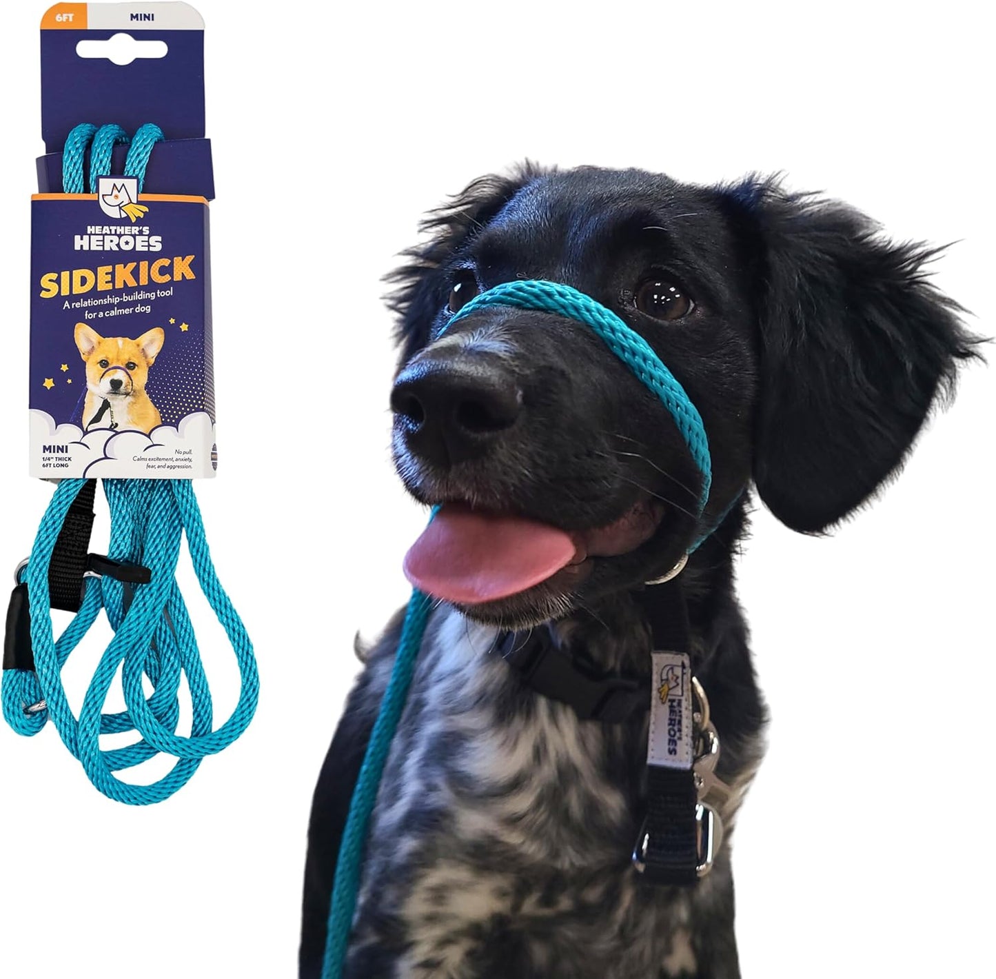 Heather's Heroes Sidekick Dog Headcollar for Effective Training