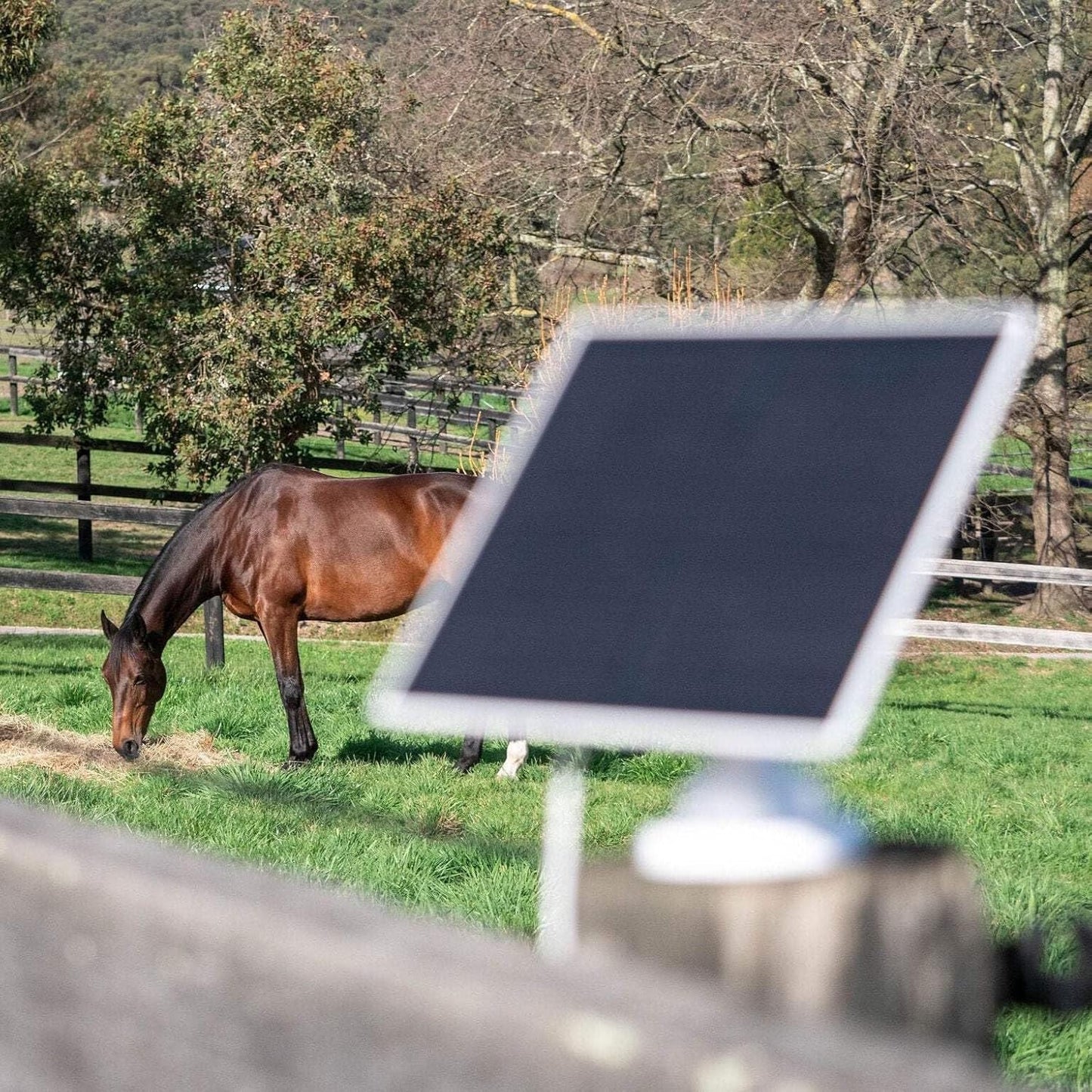 Equine Eye Vision Wireless Horse Camera with Night Vision & SIM