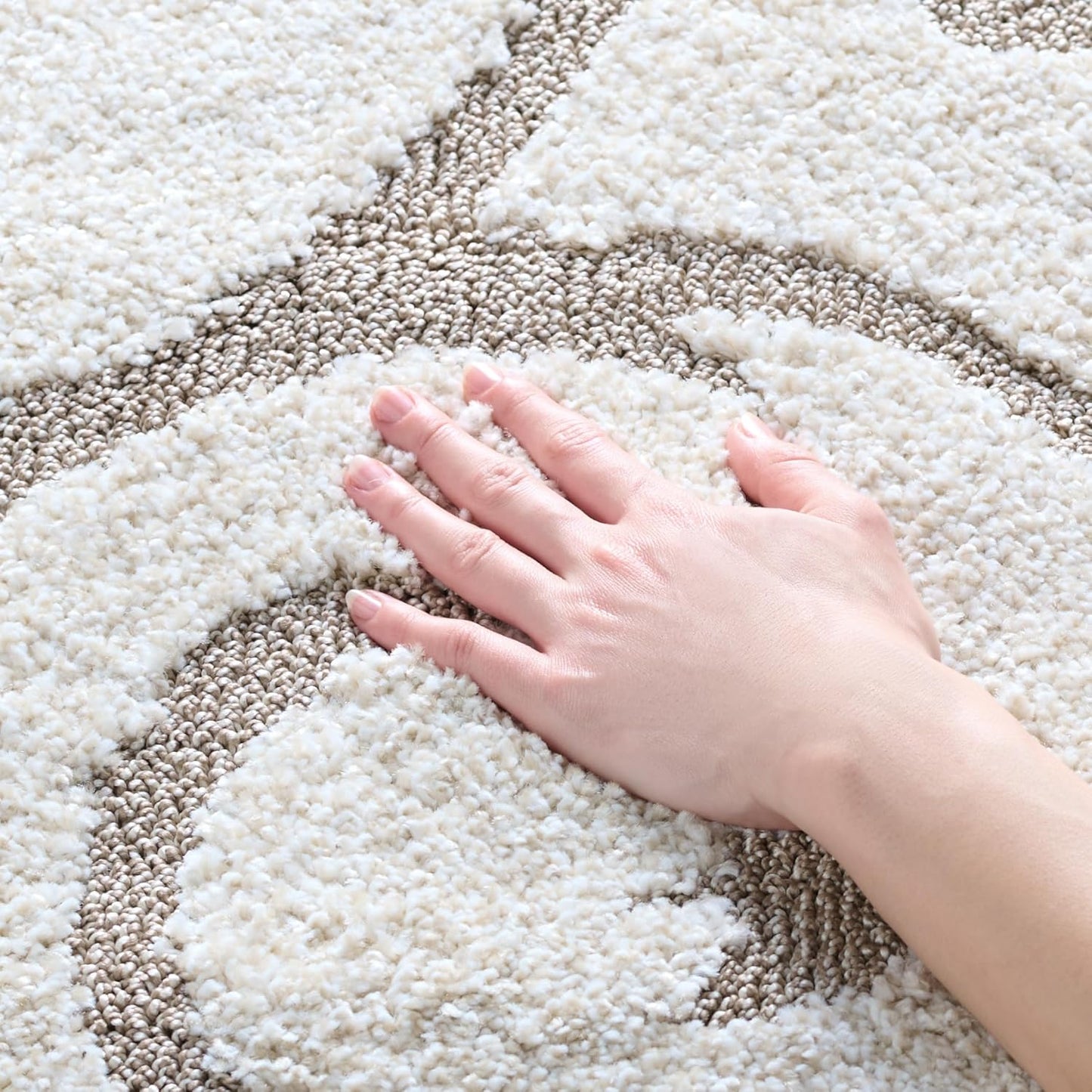 Florida Shag Collection Accent Rug - 4ft x 6ft in Ivory & Beige