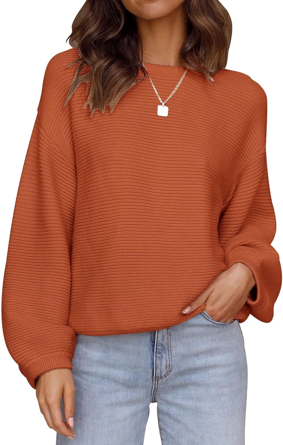 ZESICA Women's Crew Neck Lantern Sleeve Pullover Sweater Tops