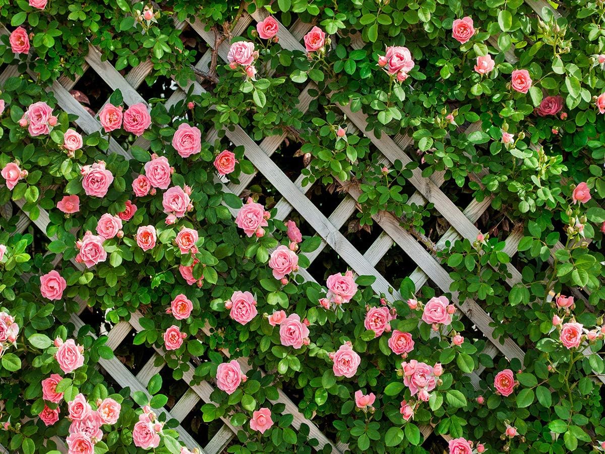AIIKES 10x8FT Flowers Backdrop for Stunning Photography Events