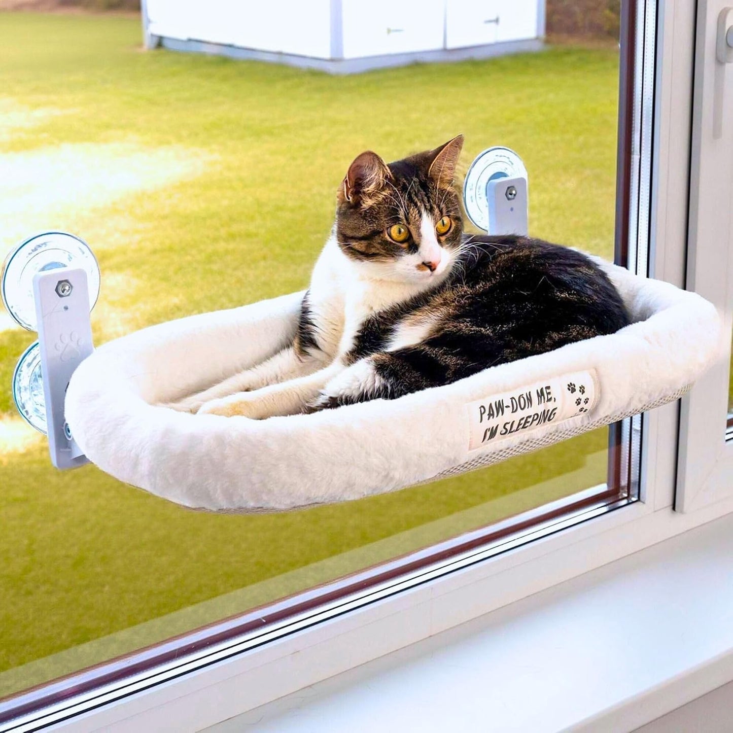 Cat Window Perch with Premium Suction Cups for Indoor Cats
