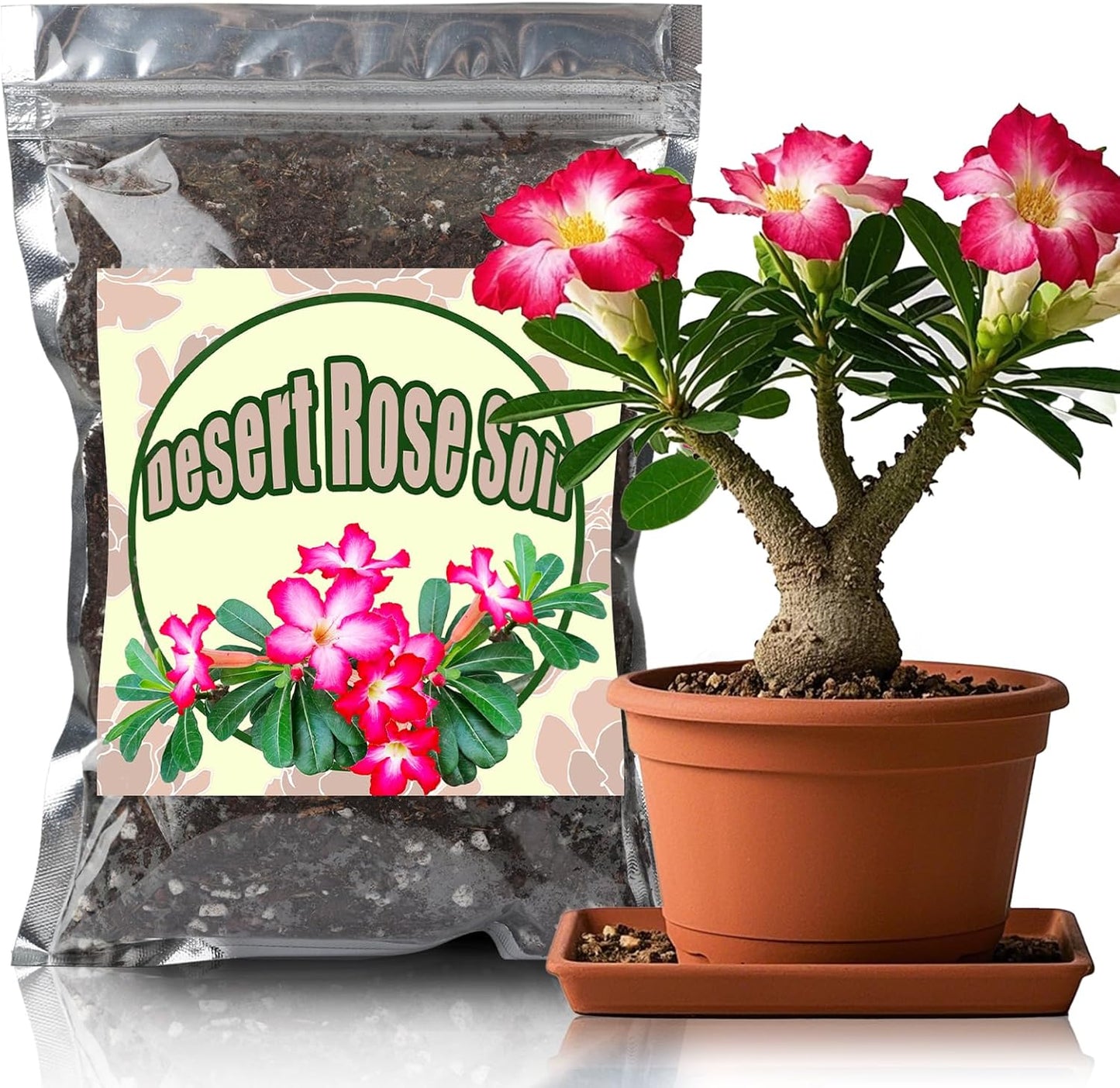 Organic Desert Rose Potting Soil Mix for Healthy Growth 10qt