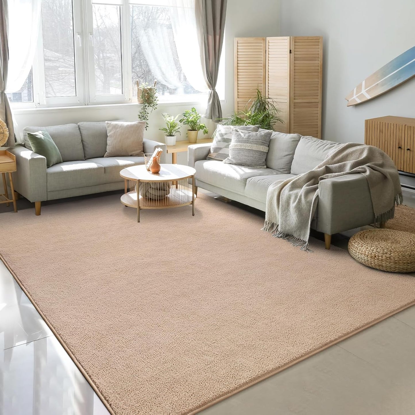 Soft Rugs for Living Room 5x7 Beige, Minimalist Area Rug