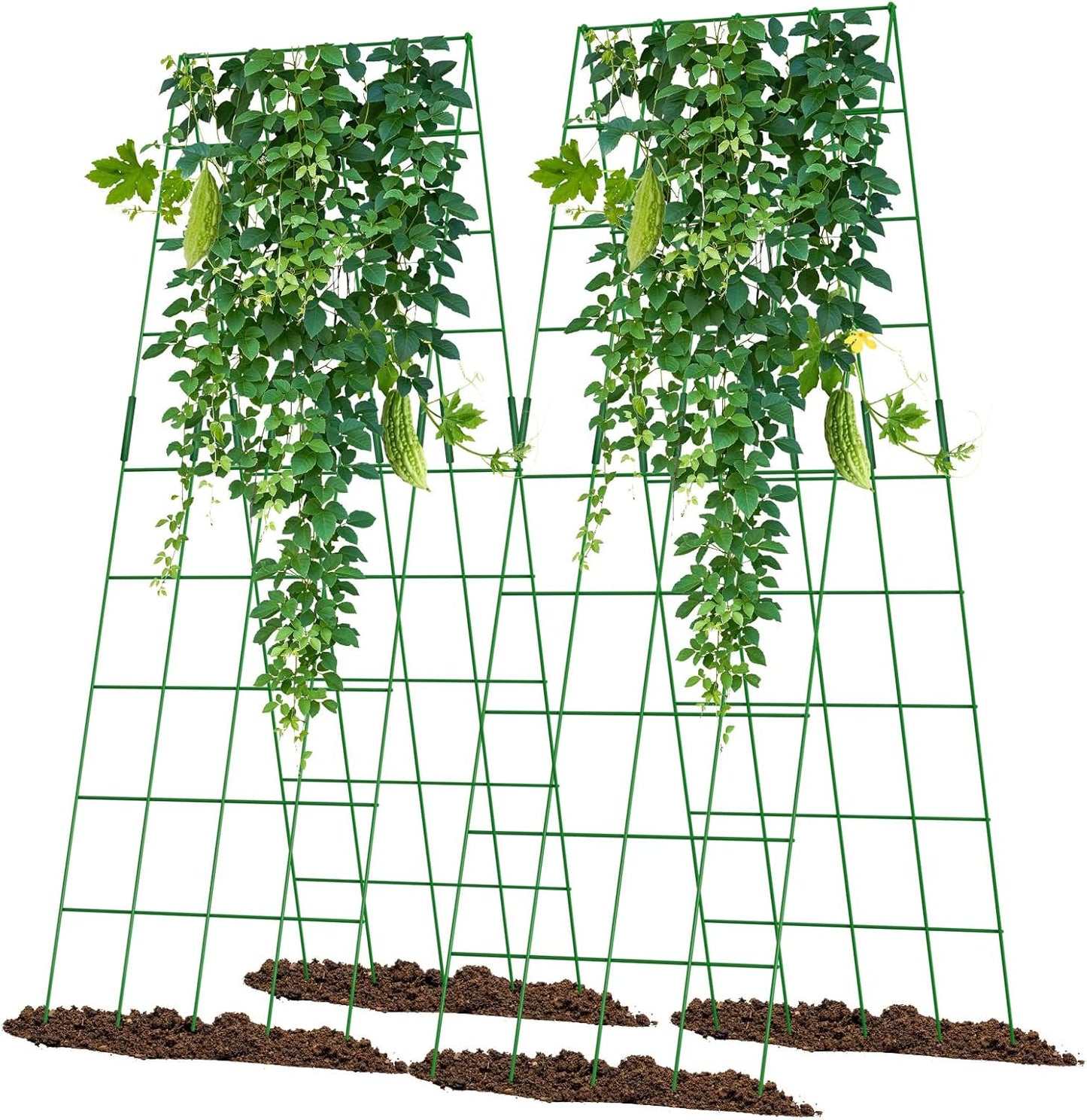 Cucumber Trellis 2 Pack for Raised Bed Garden Support System