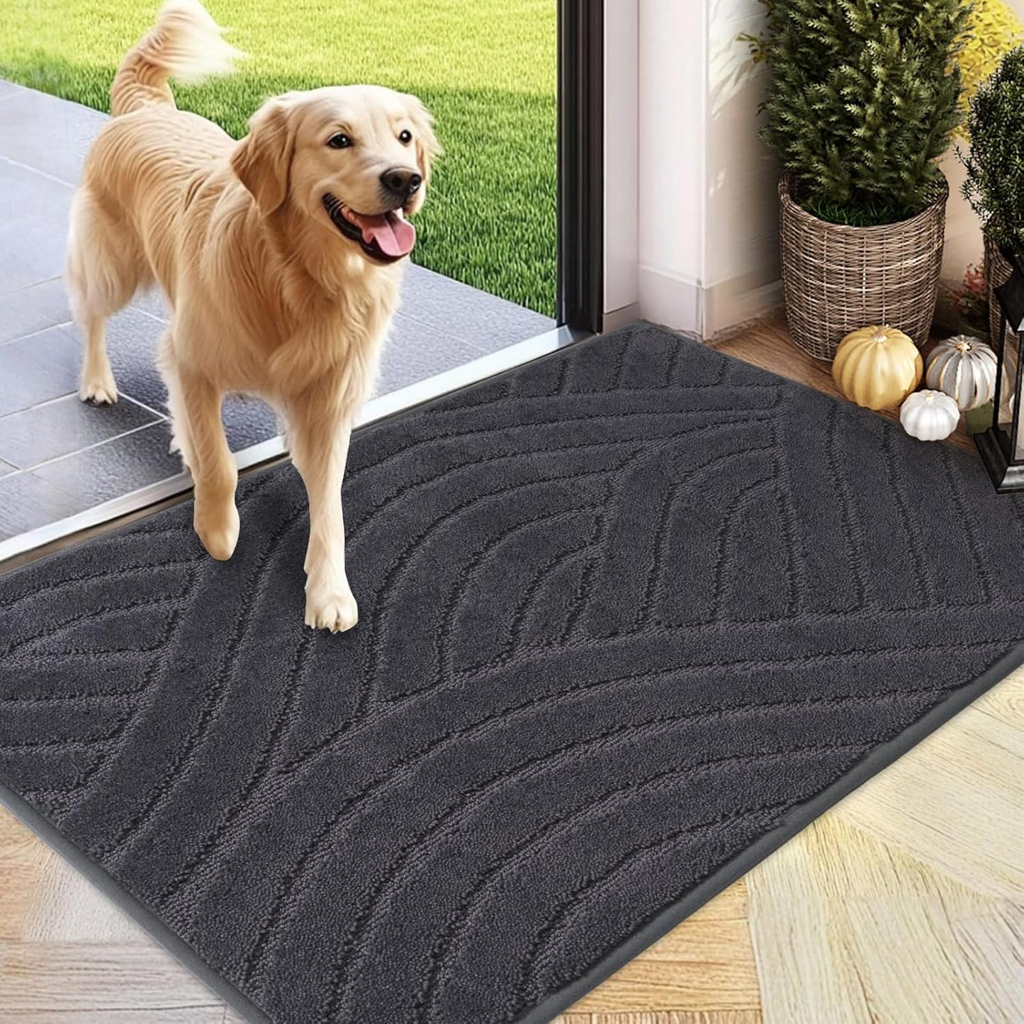 Absorbent Dirt Trapper Welcome Door Mat for Indoor Use