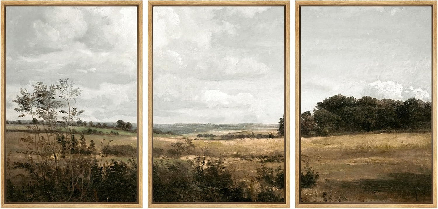 MUDECOR Framed Canvas Print Wall Art for Rustic Fields Decor