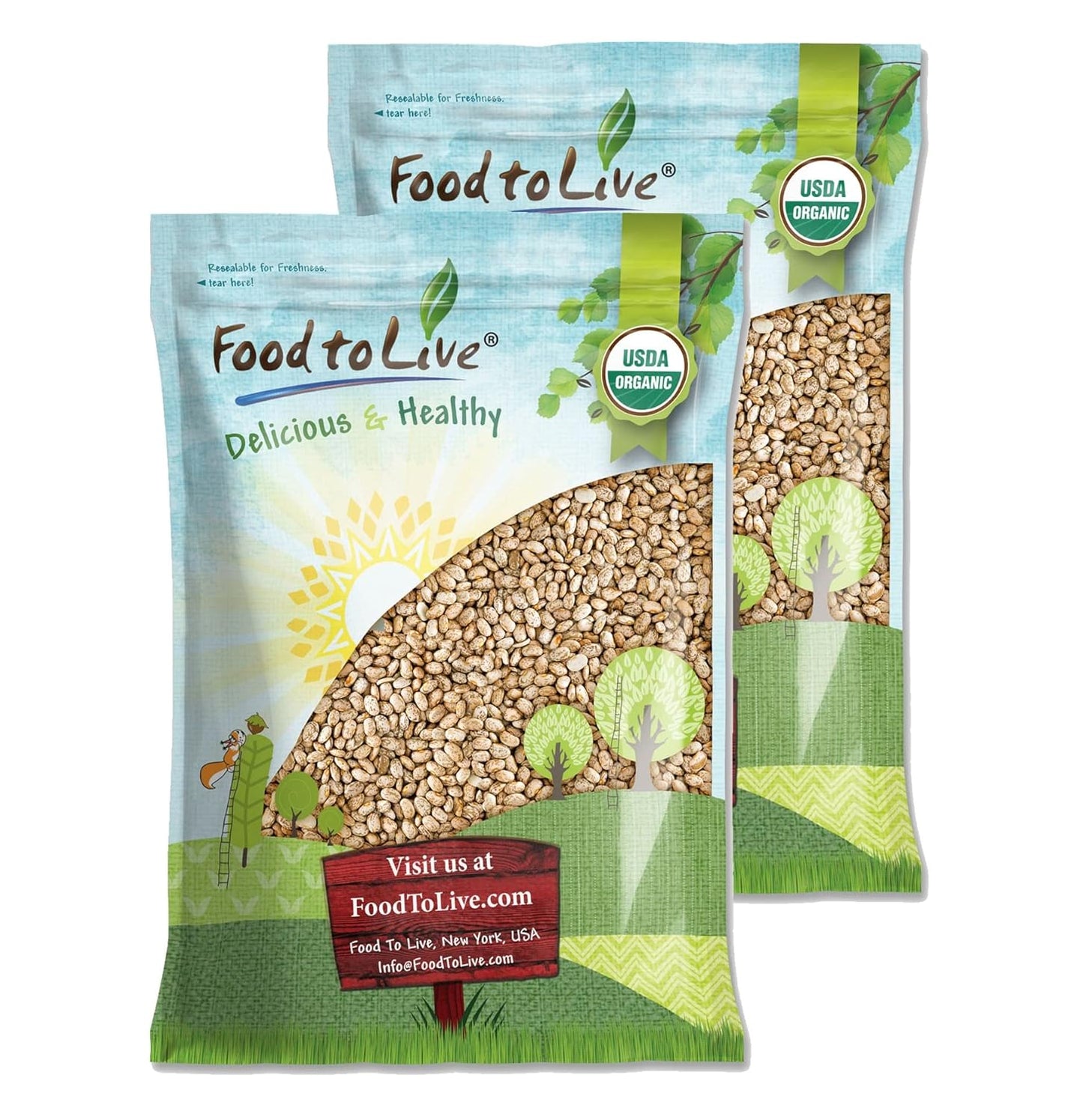 Organic Pinto Beans for Versatile Cooking and Nutrition Boost