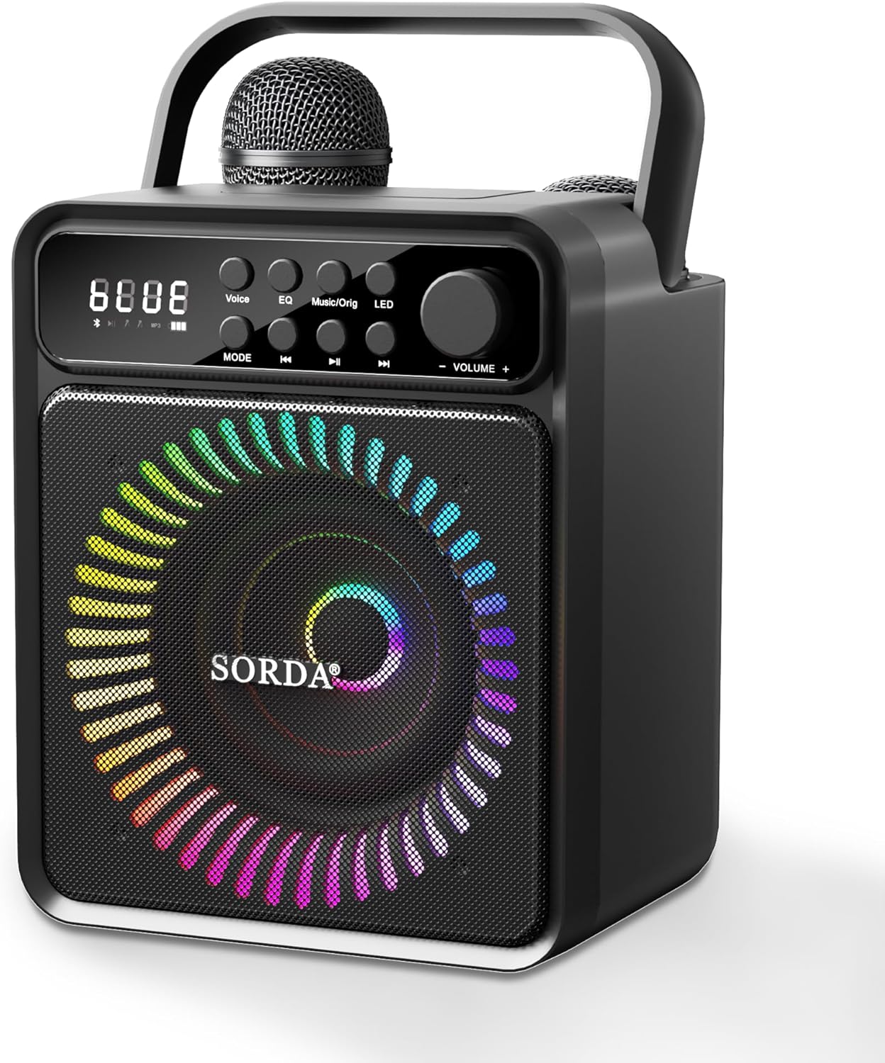 Karaoke Machine with Bluetooth Speaker & 2 Wireless Mics
