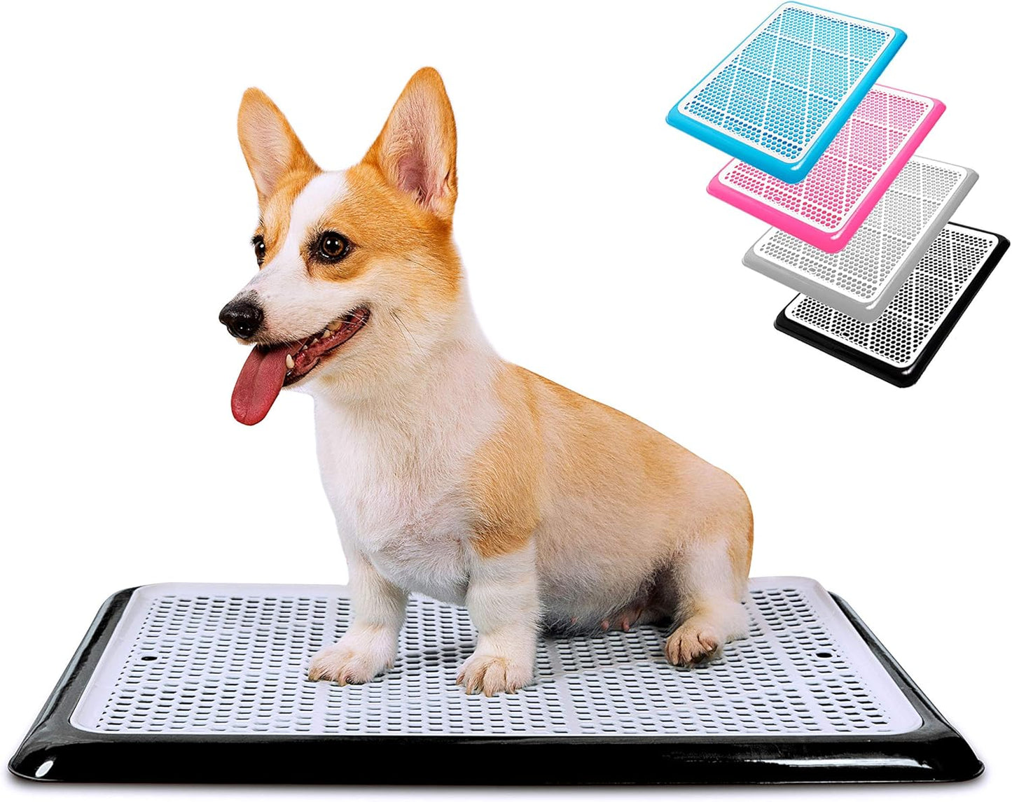 Pet Awesome Dog Potty Tray for Easy Indoor Pee Training