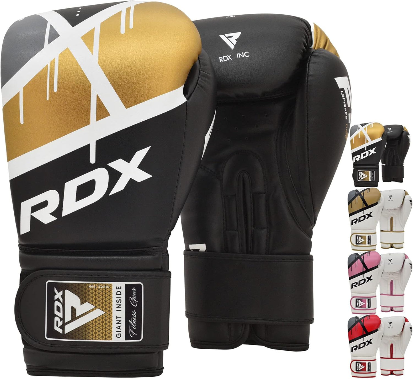 RDX EGO Boxing Gloves for Sparring and Heavy Training Sessions