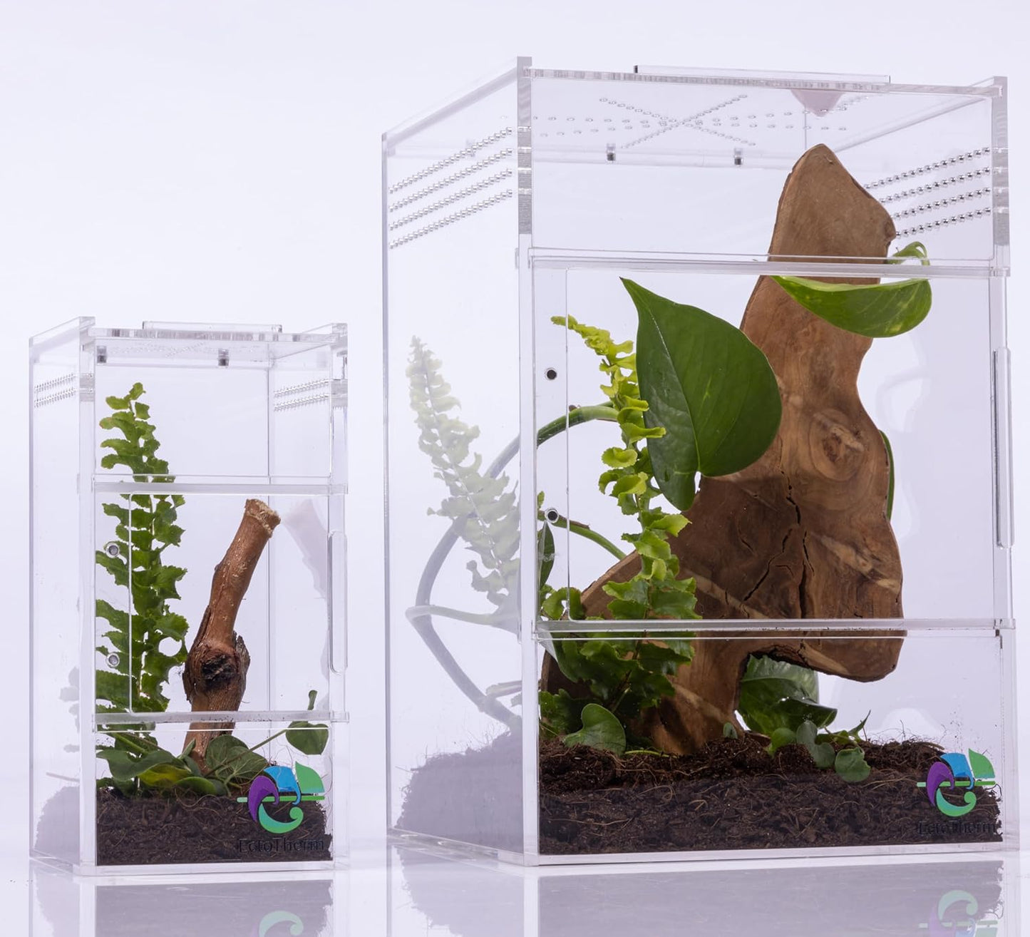 EctoTherm Jumping Spider Enclosure for Habitat and Terrarium Kit